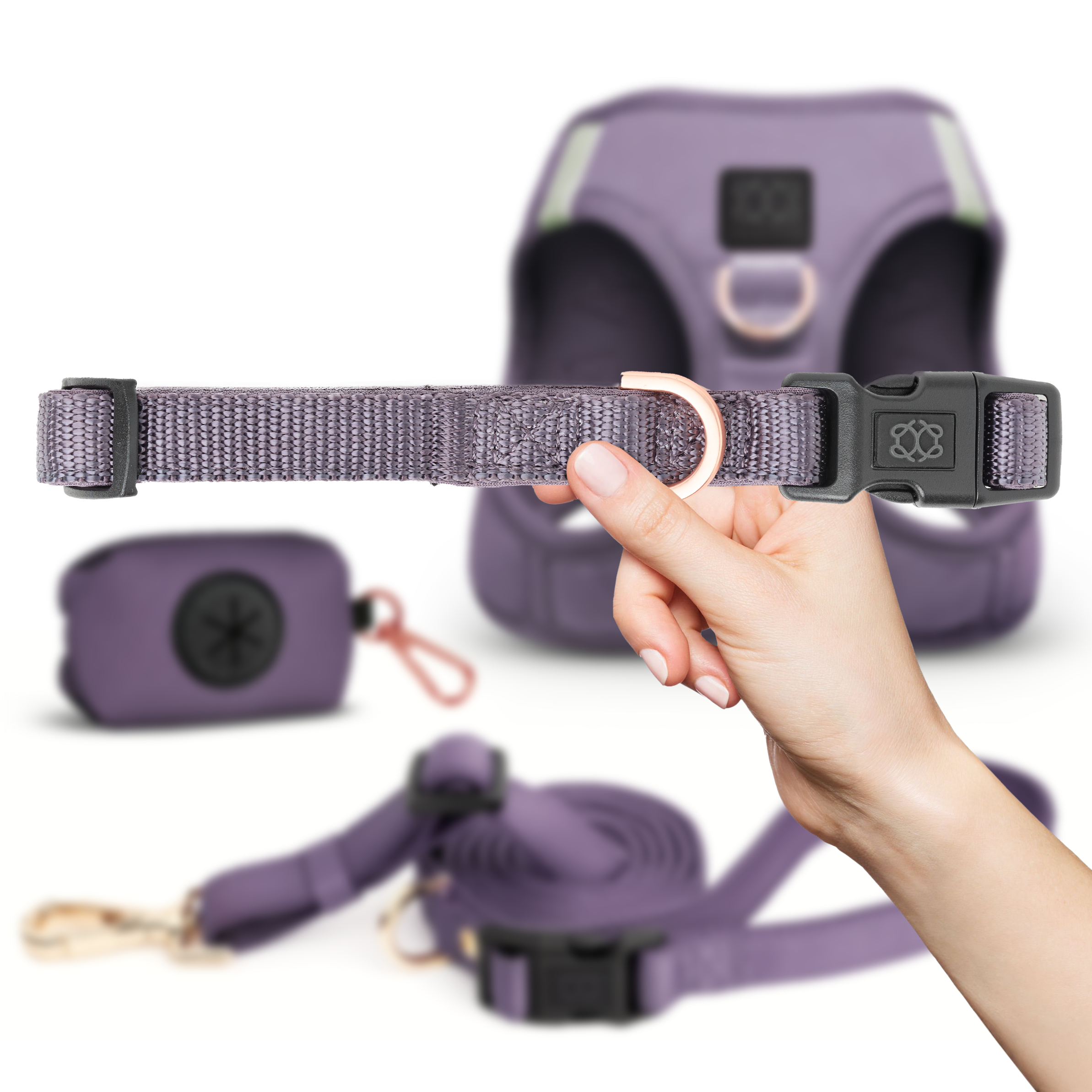 City Collar - Lilac Gray