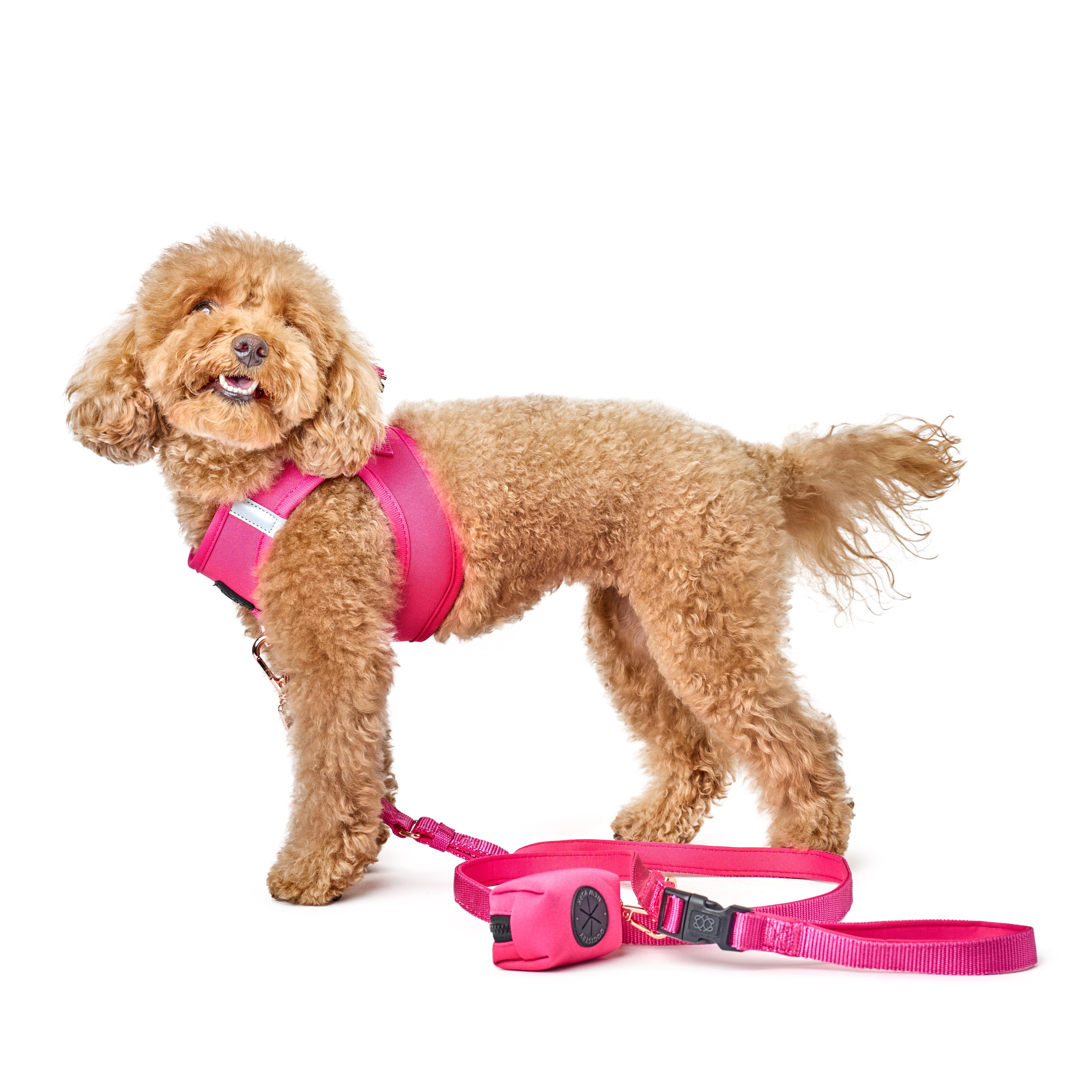 Leashes - Secure-In-Place 3-in-1 City Dog Leash - Park Ave Pink