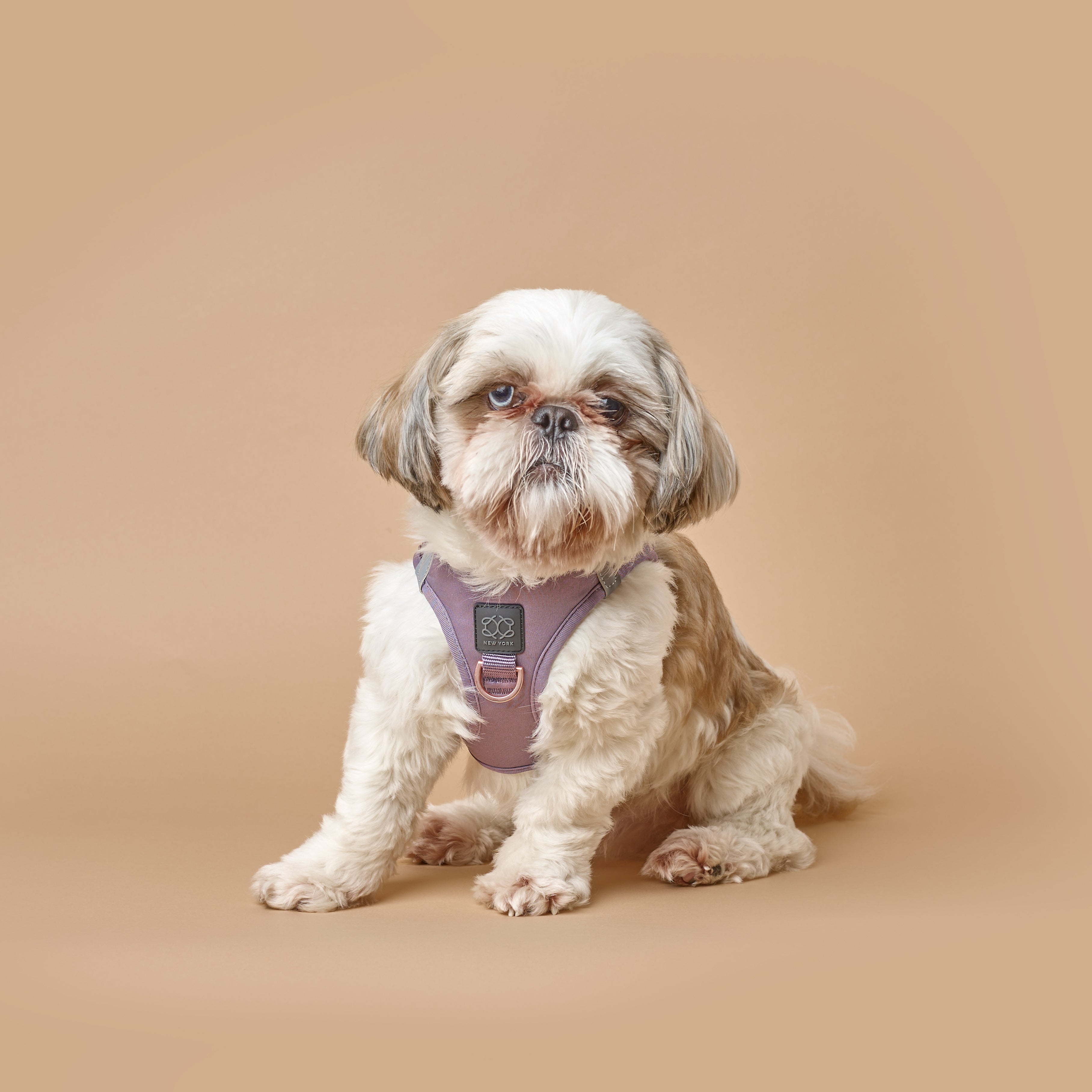 Harness - Step-In SoHo Dog Harness - Lilac Gray