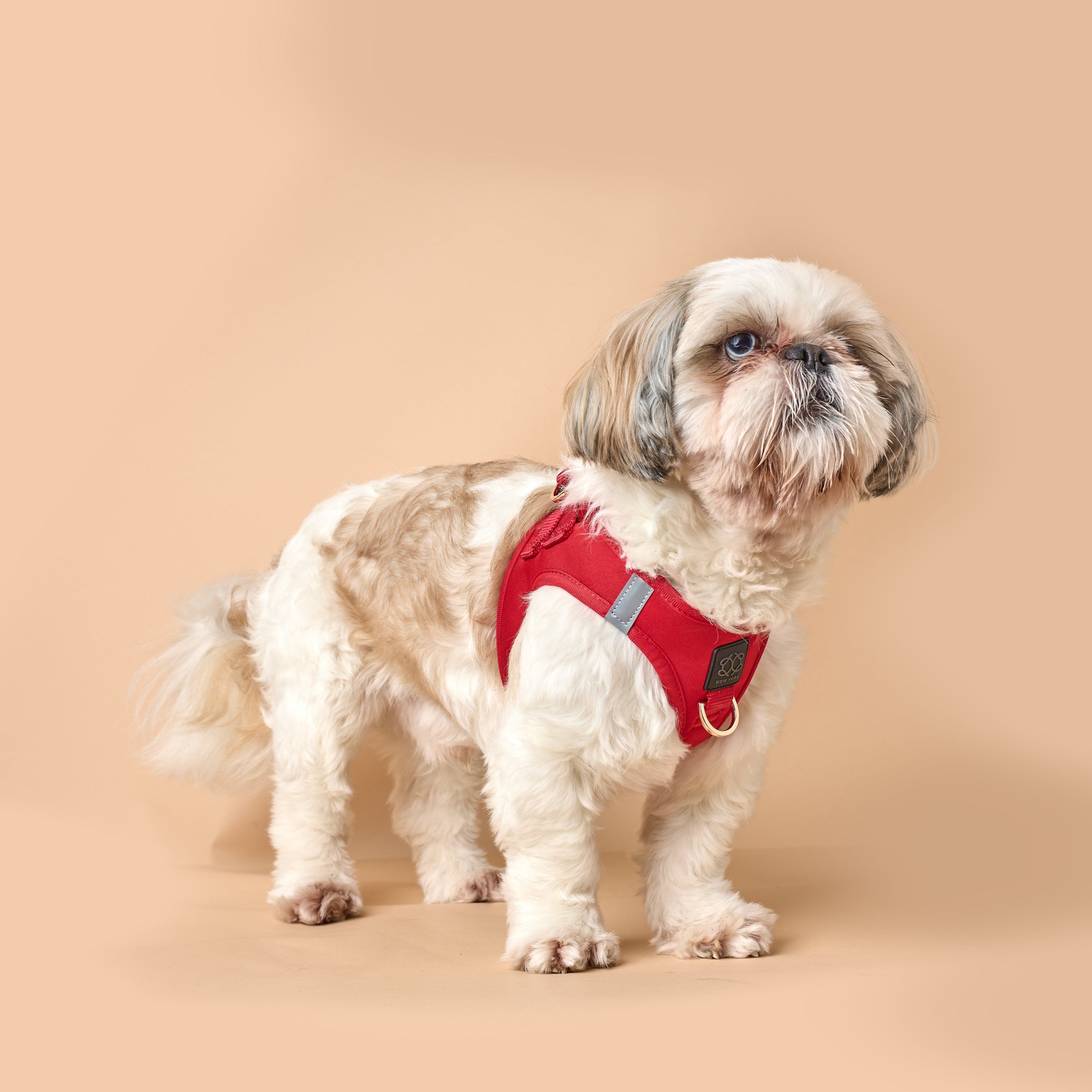 Harness - Step-In SoHo Dog Harness - Iconic Red
