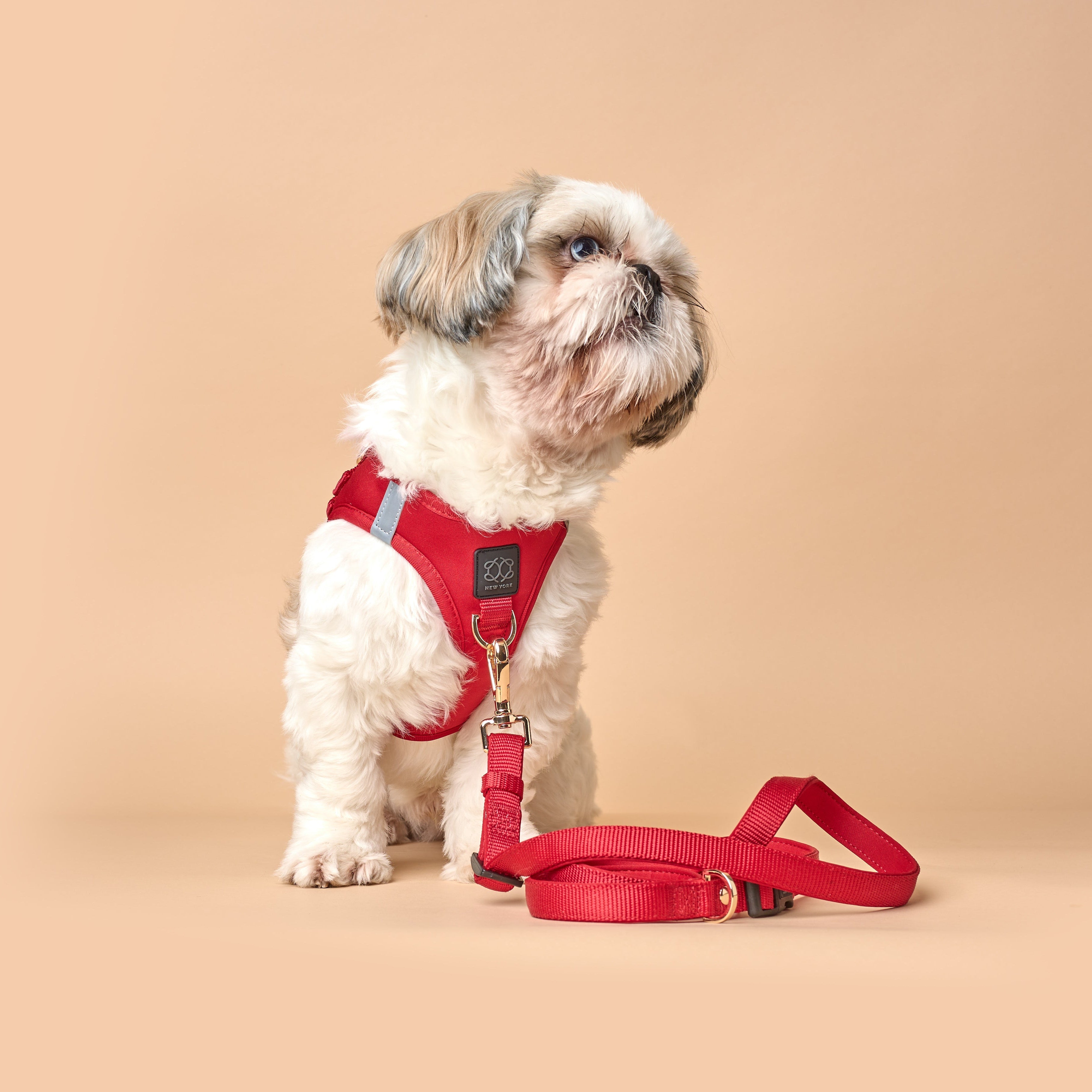 Harness - Step-In SoHo Dog Harness - Iconic Red