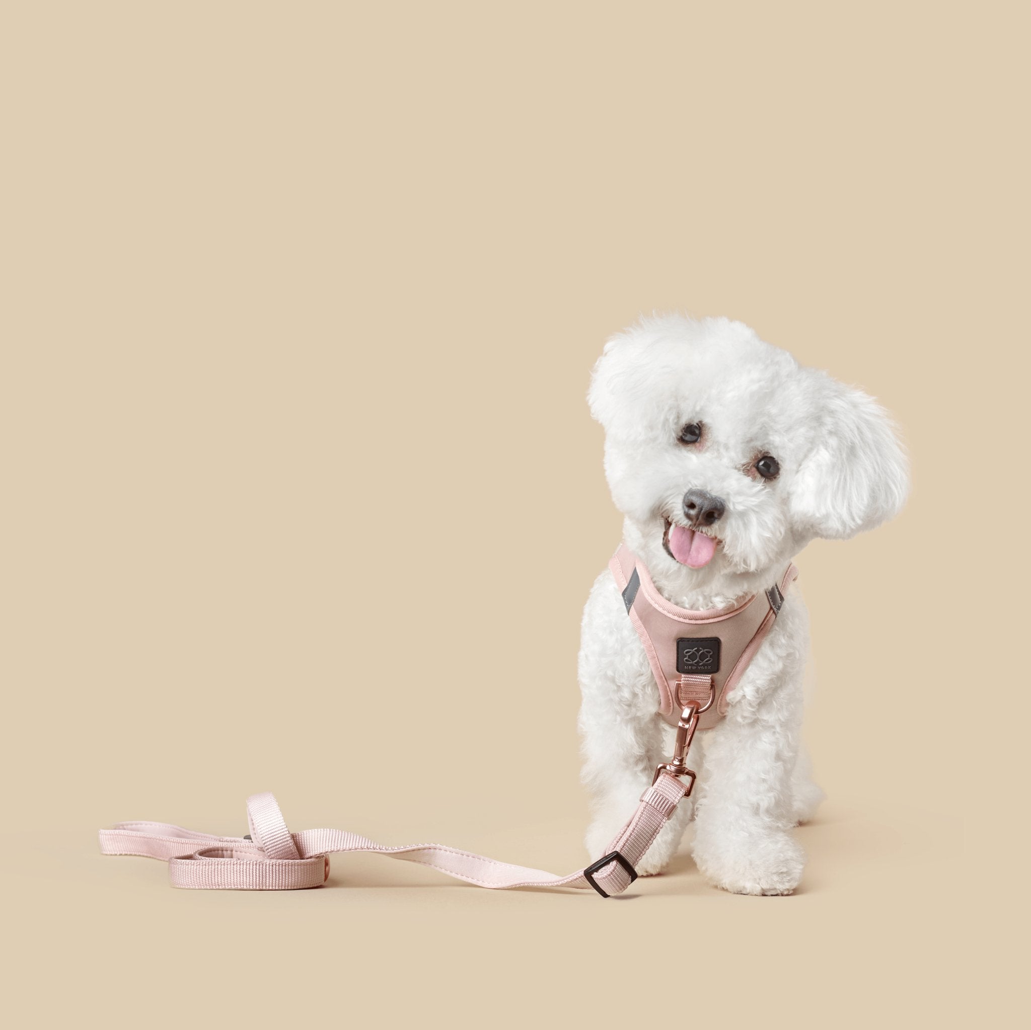 Leashes - Secure-In-Place 3-in-1 City Dog Leash - Blush