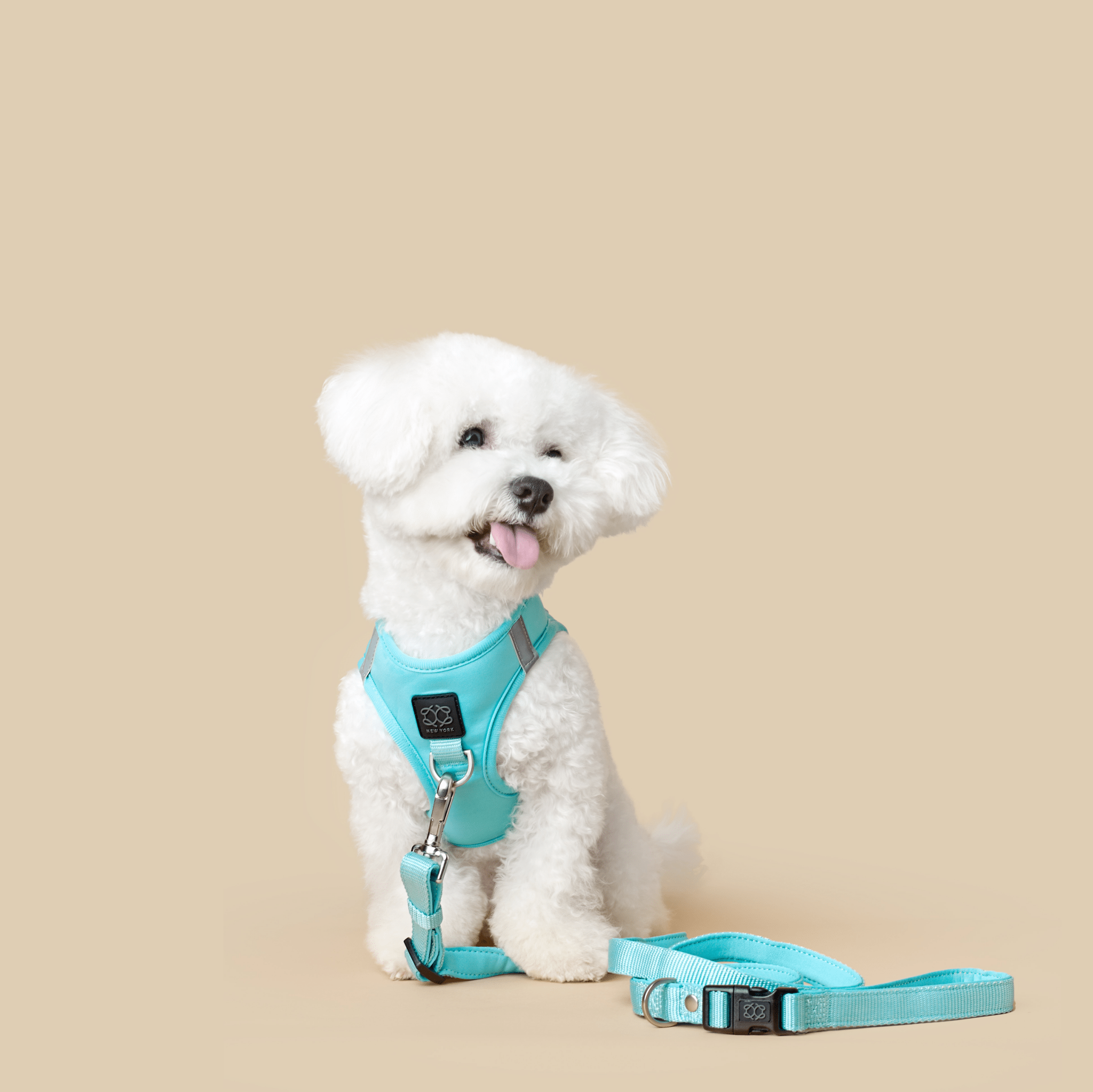 3-in-1 City Dog Leash - Fifth Avenue