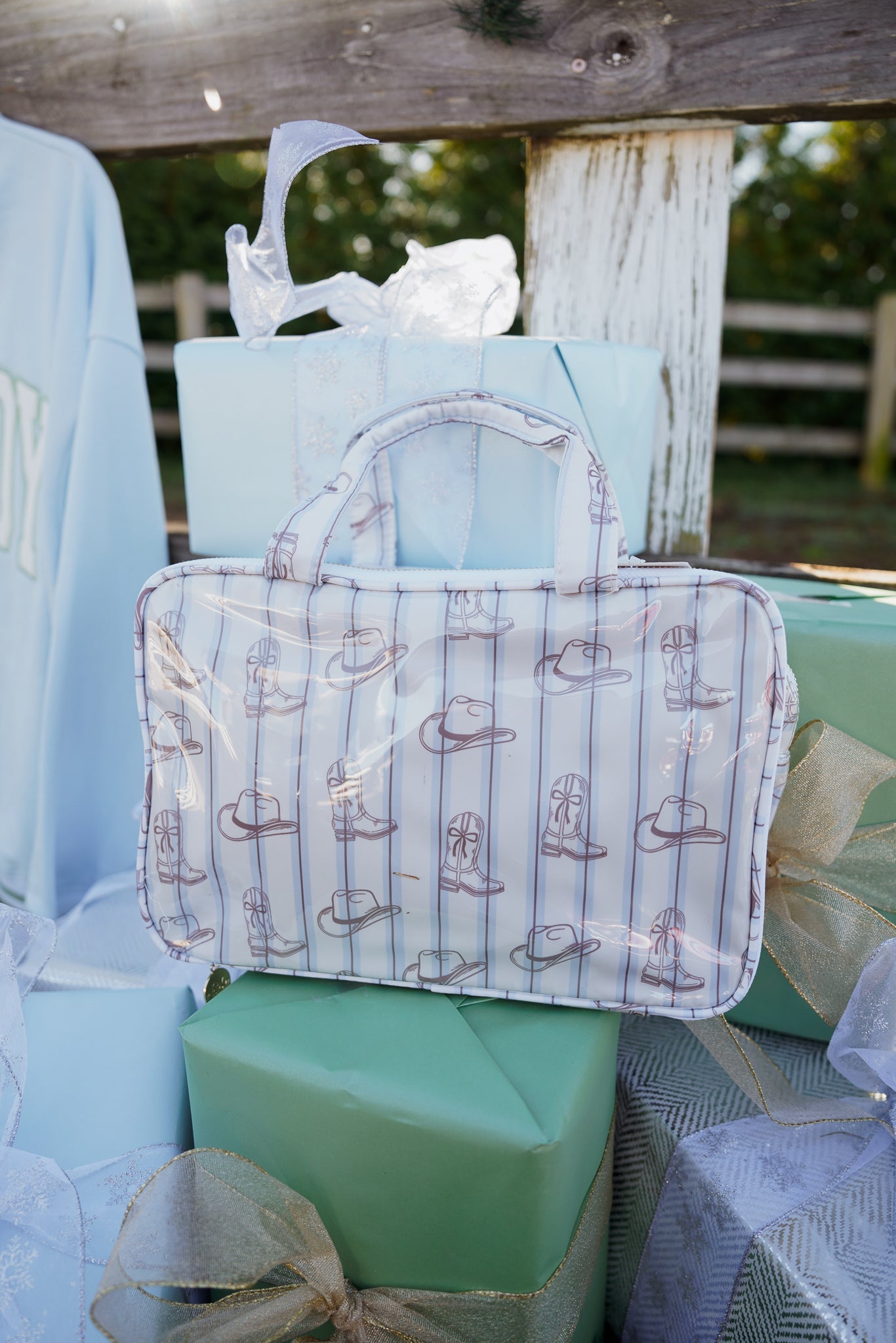 Makeup Bag Western Blues Striped - Clear Coat Toiletry Case - PREORDER