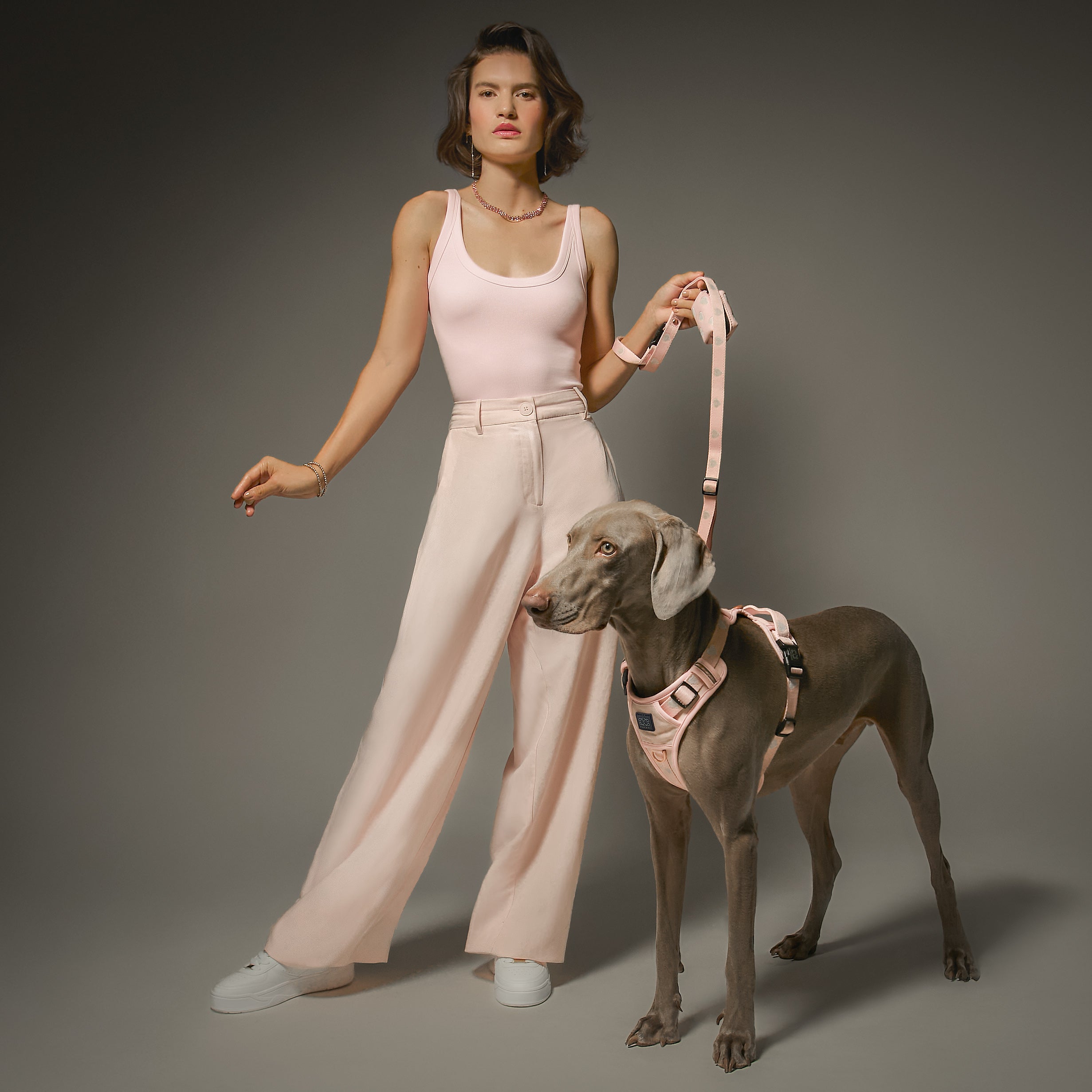 Leashes - Secure-In-Place 3-in-1 City Dog Leash - Sweetheart