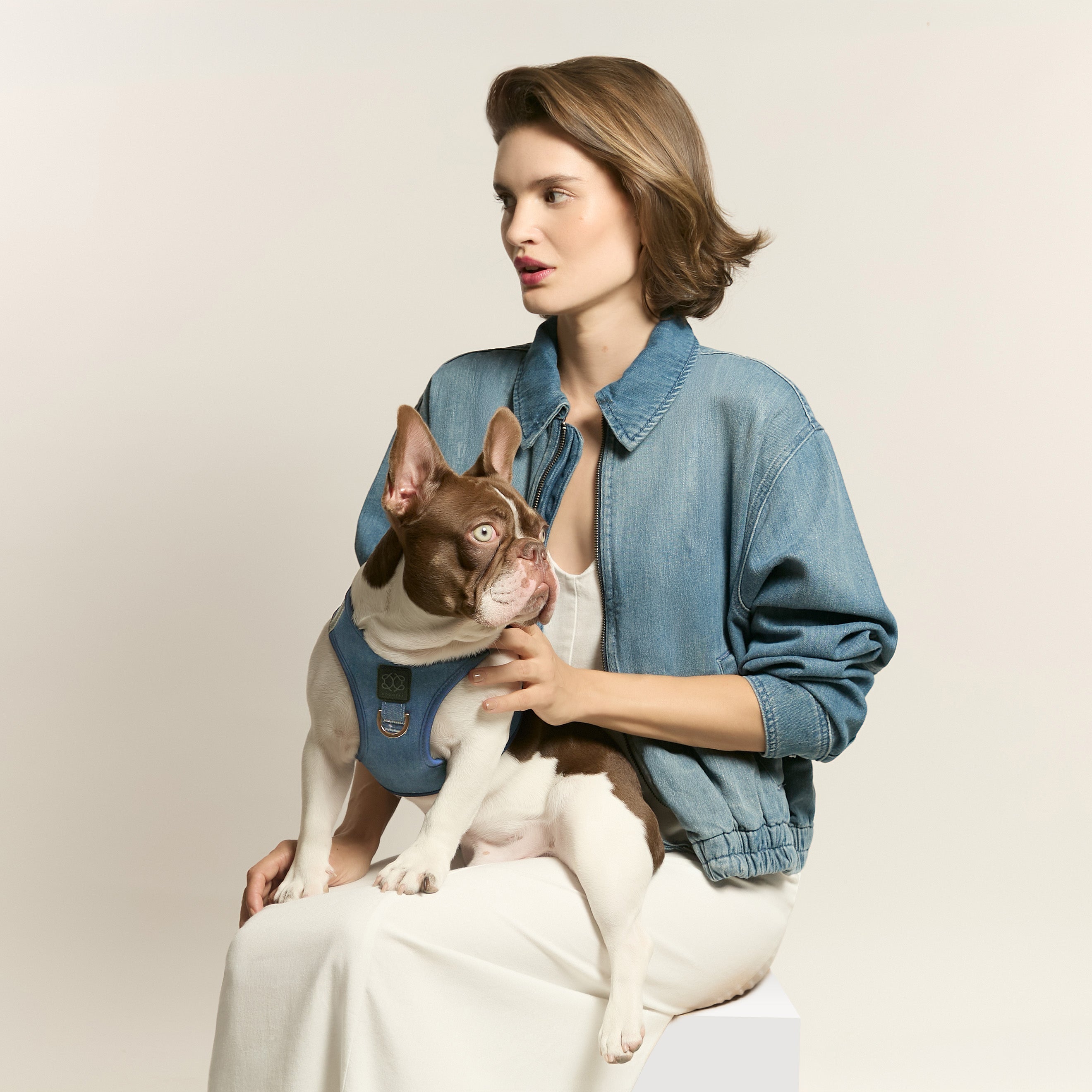 Harness - Adjustable SoHo Dog Harness - Denim