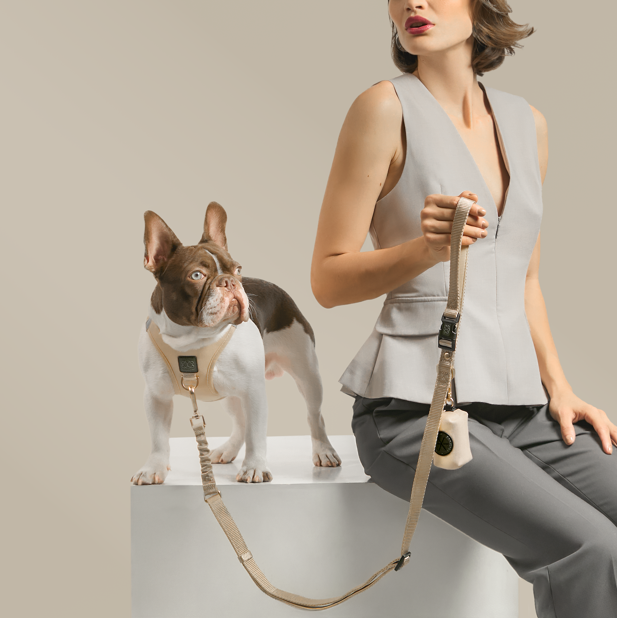 Harness - Step-In SoHo Dog Harness - Dune