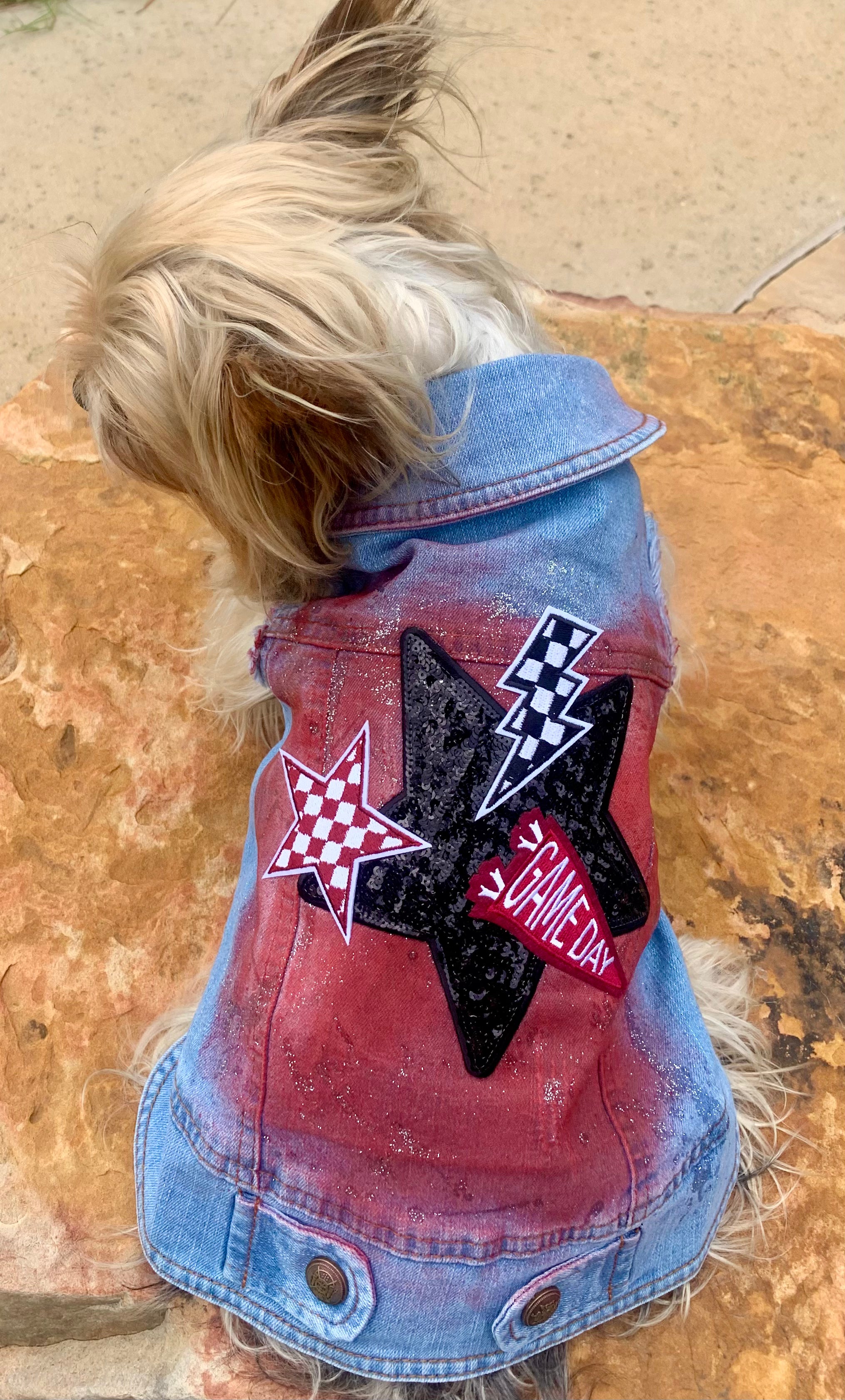 Custom Game Day Dog Jackets