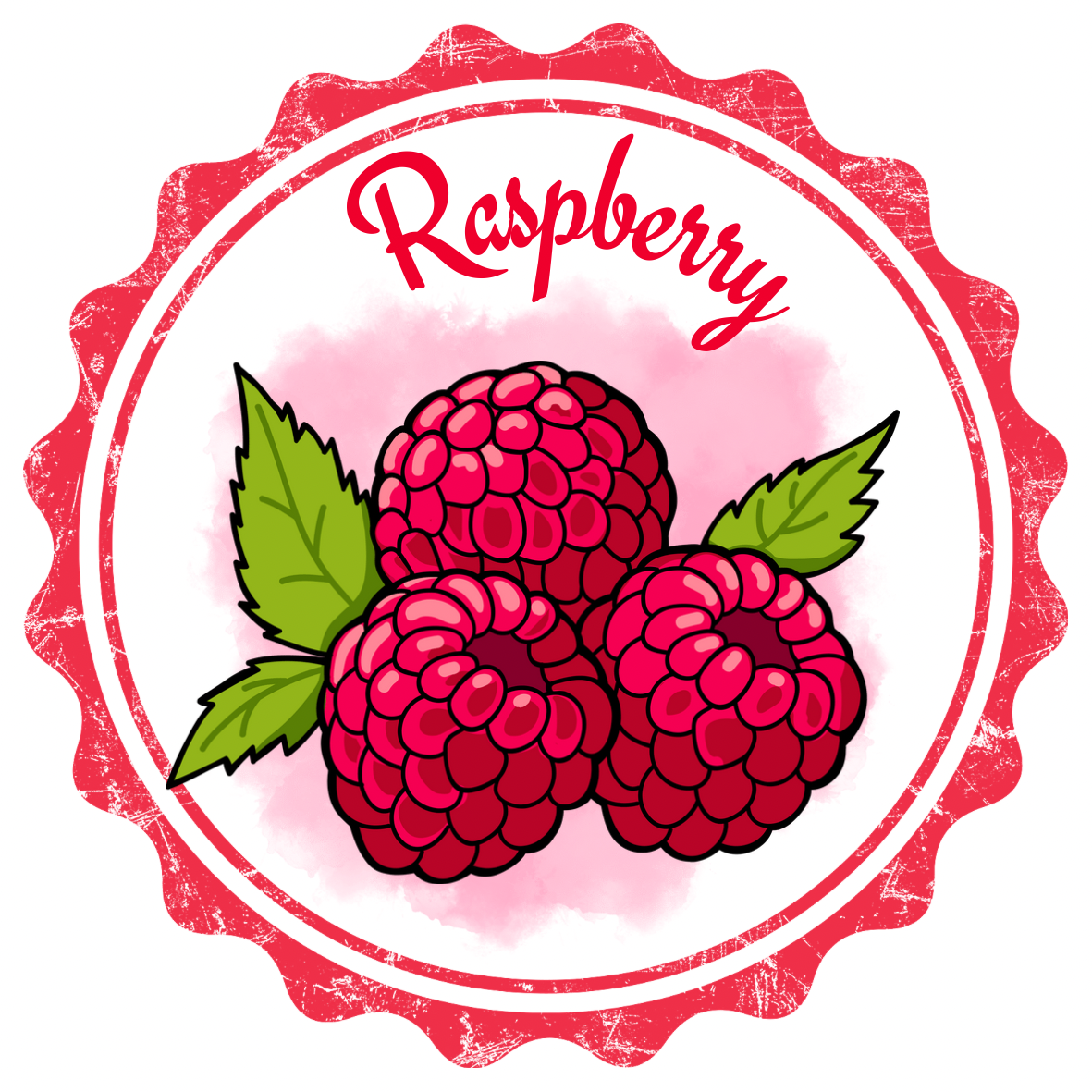 Raspberry Hand Sanitizer Spray