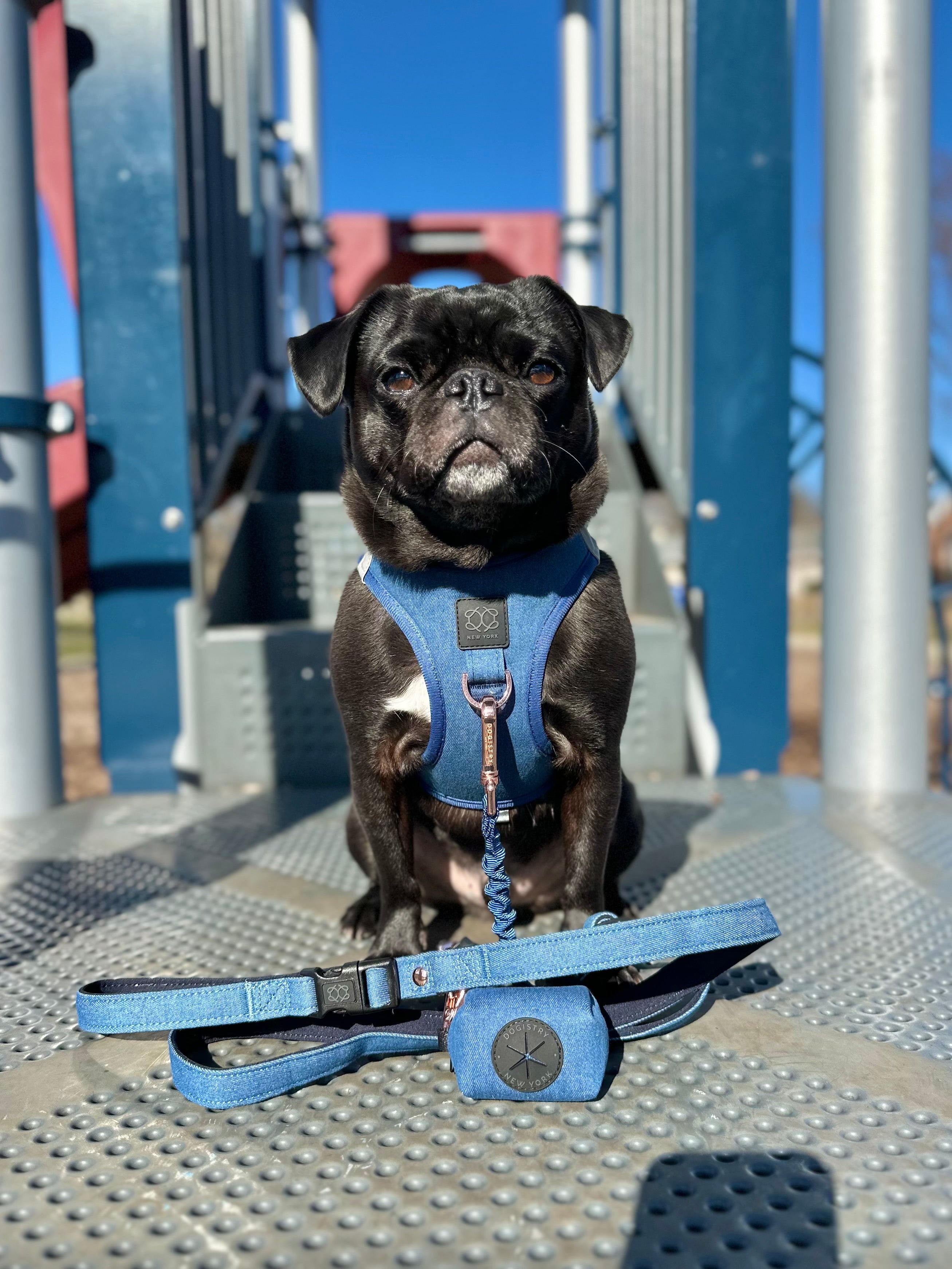 3-in-1 City Dog Leash - Denim