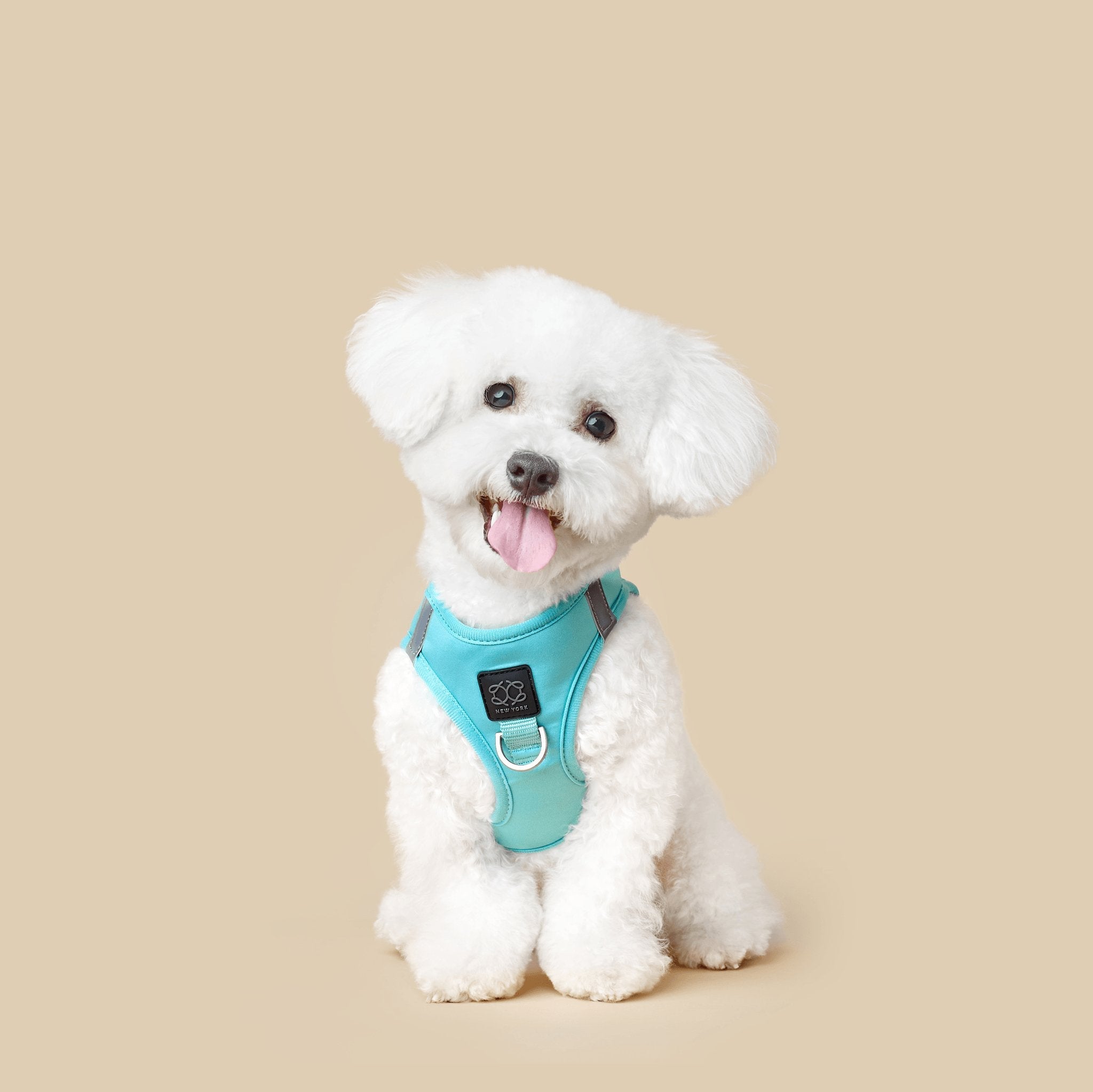 Harness - Step-In SoHo Dog Harness - Fifth Avenue