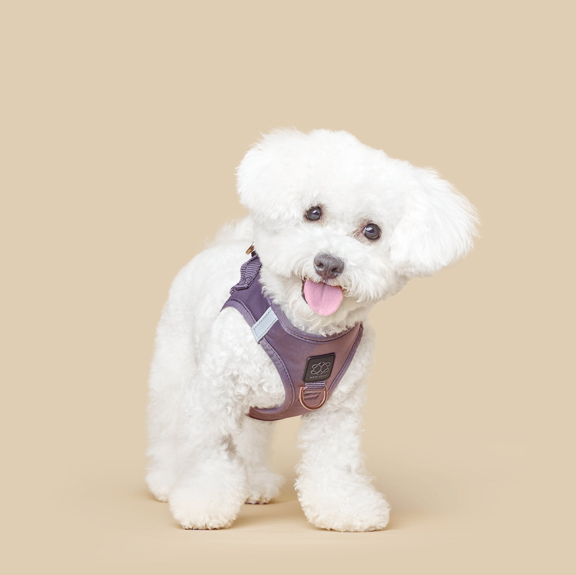 Harness - Step-In SoHo Dog Harness - Lilac Gray