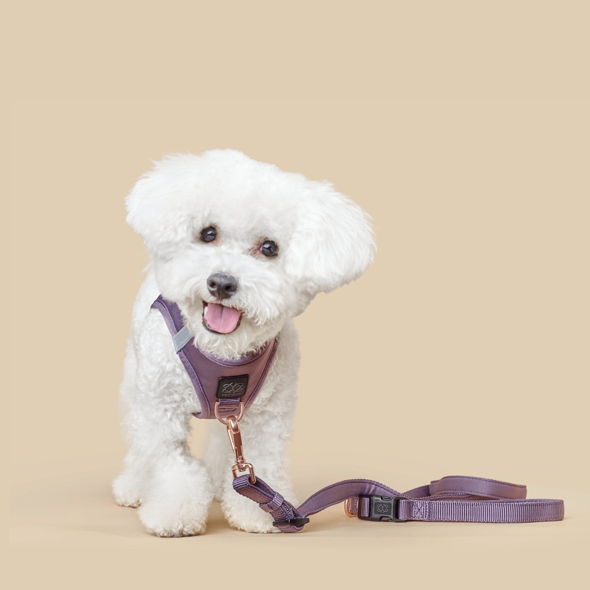 Harness - Step-In SoHo Dog Harness - Lilac Gray