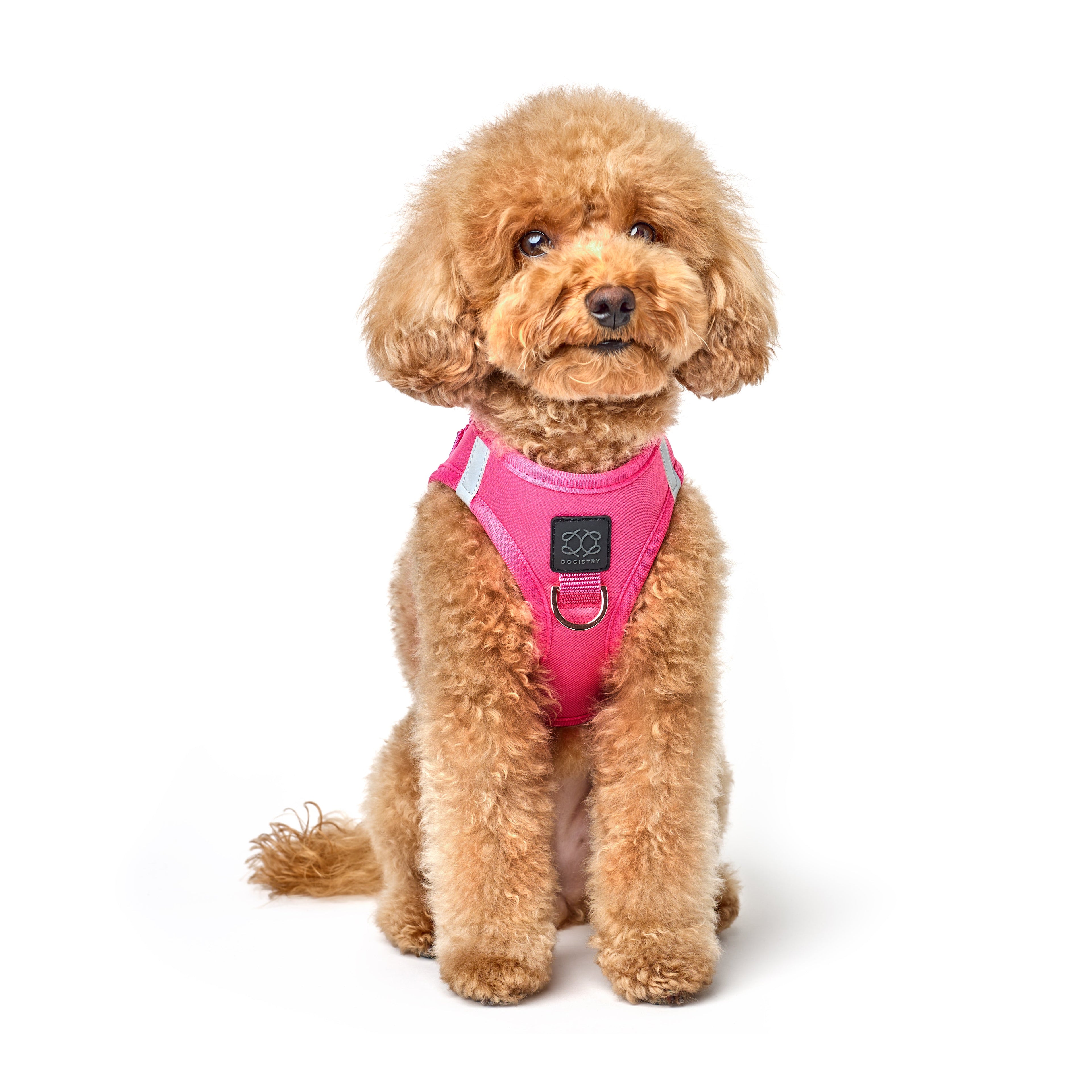 SoHo Dog Harness - Park Ave Pink