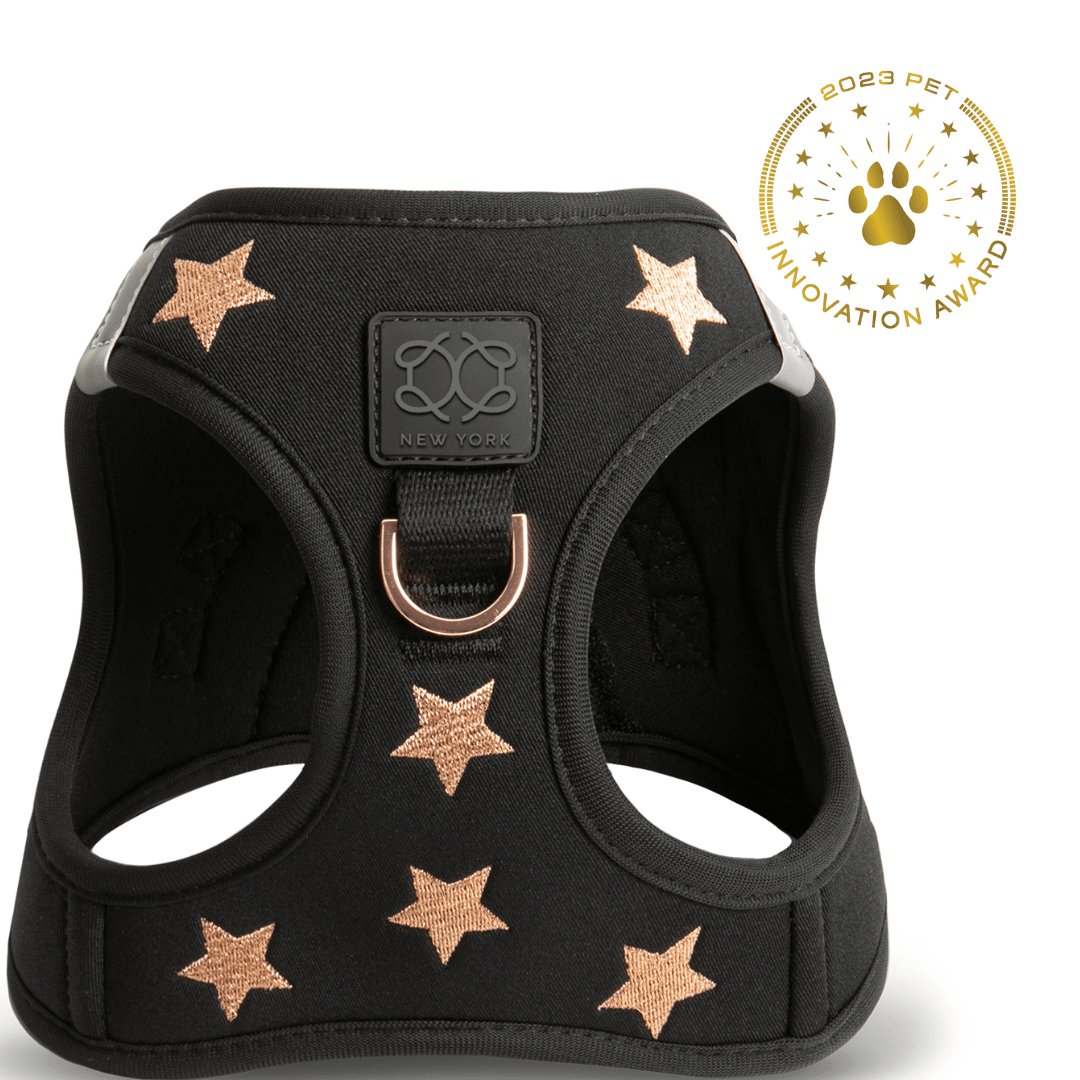 Harness - Step-In SoHo Dog Harness - Rockstar