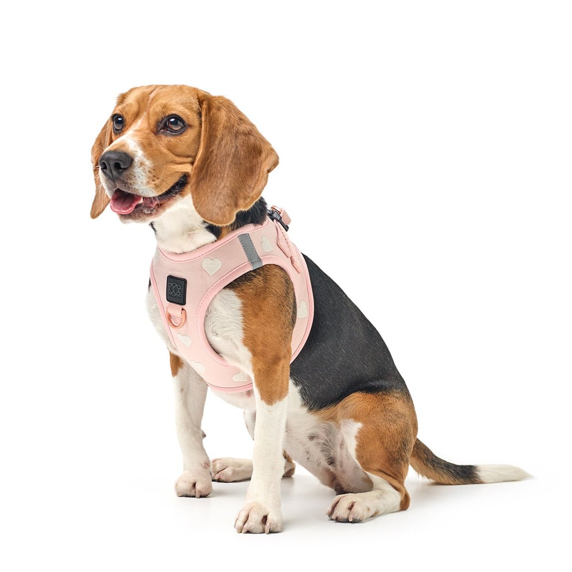 Harness - Step-In SoHo Dog Harness - Sweetheart