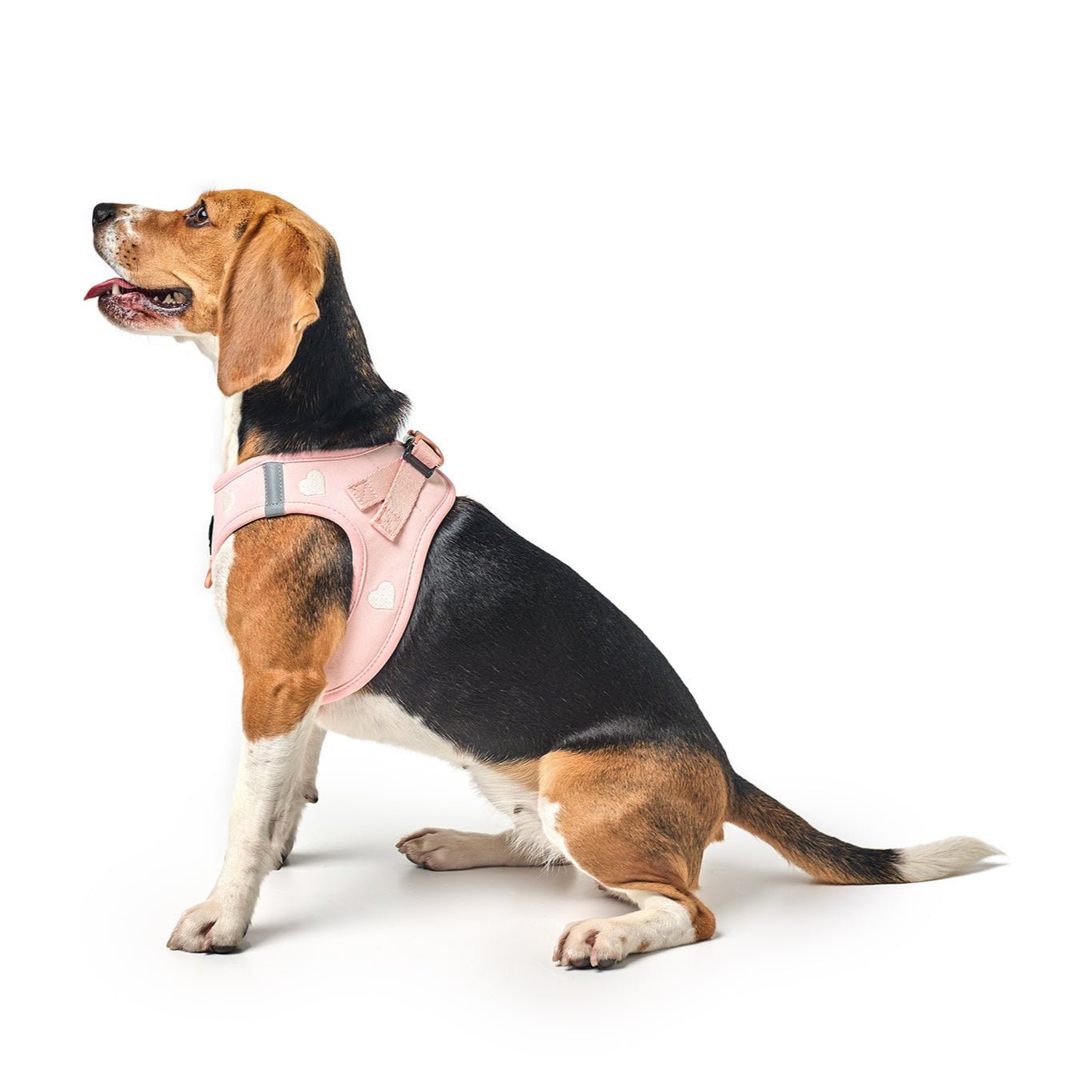Harness - Step-In SoHo Dog Harness - Sweetheart