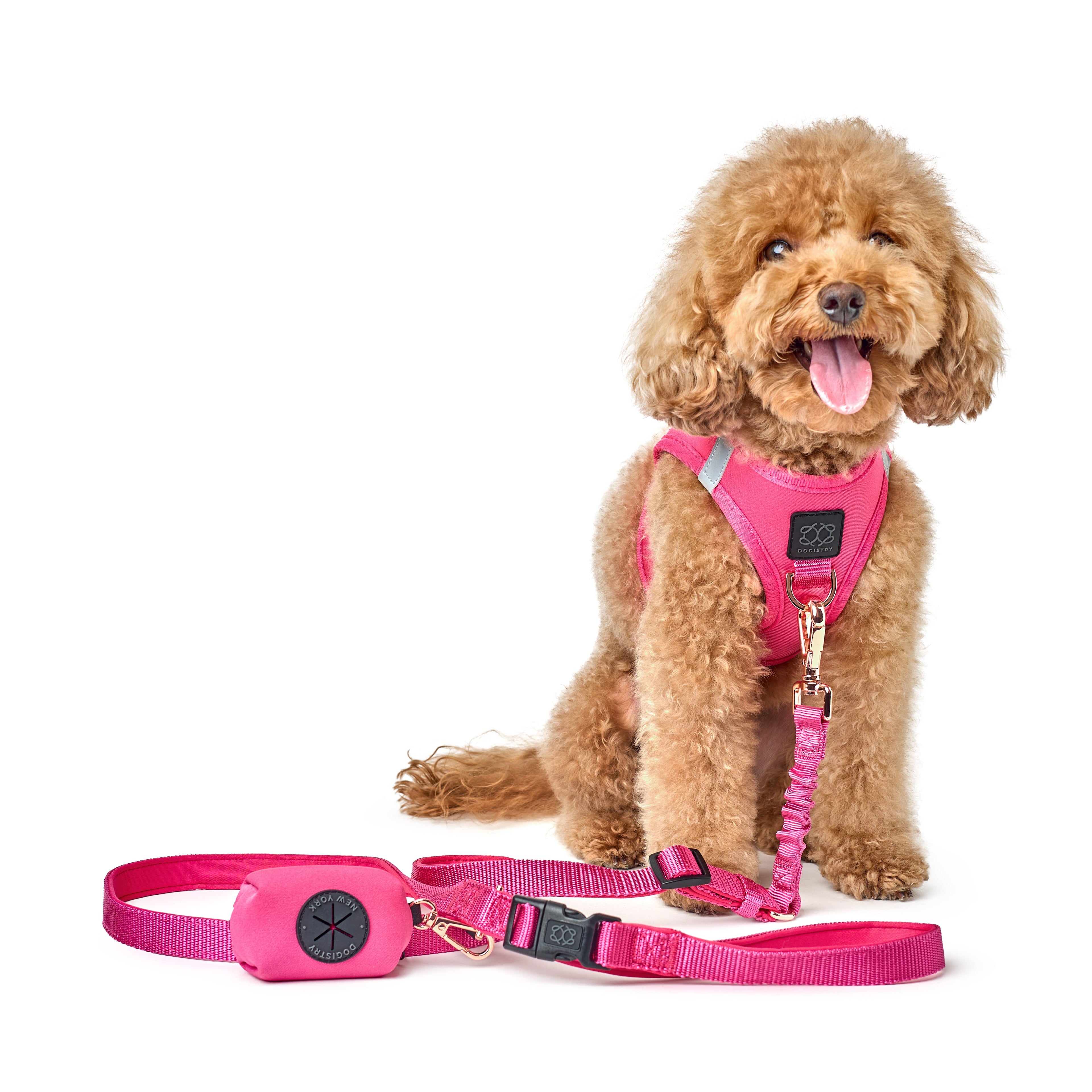 3-in-1 City Dog Leash - Park Ave Pink