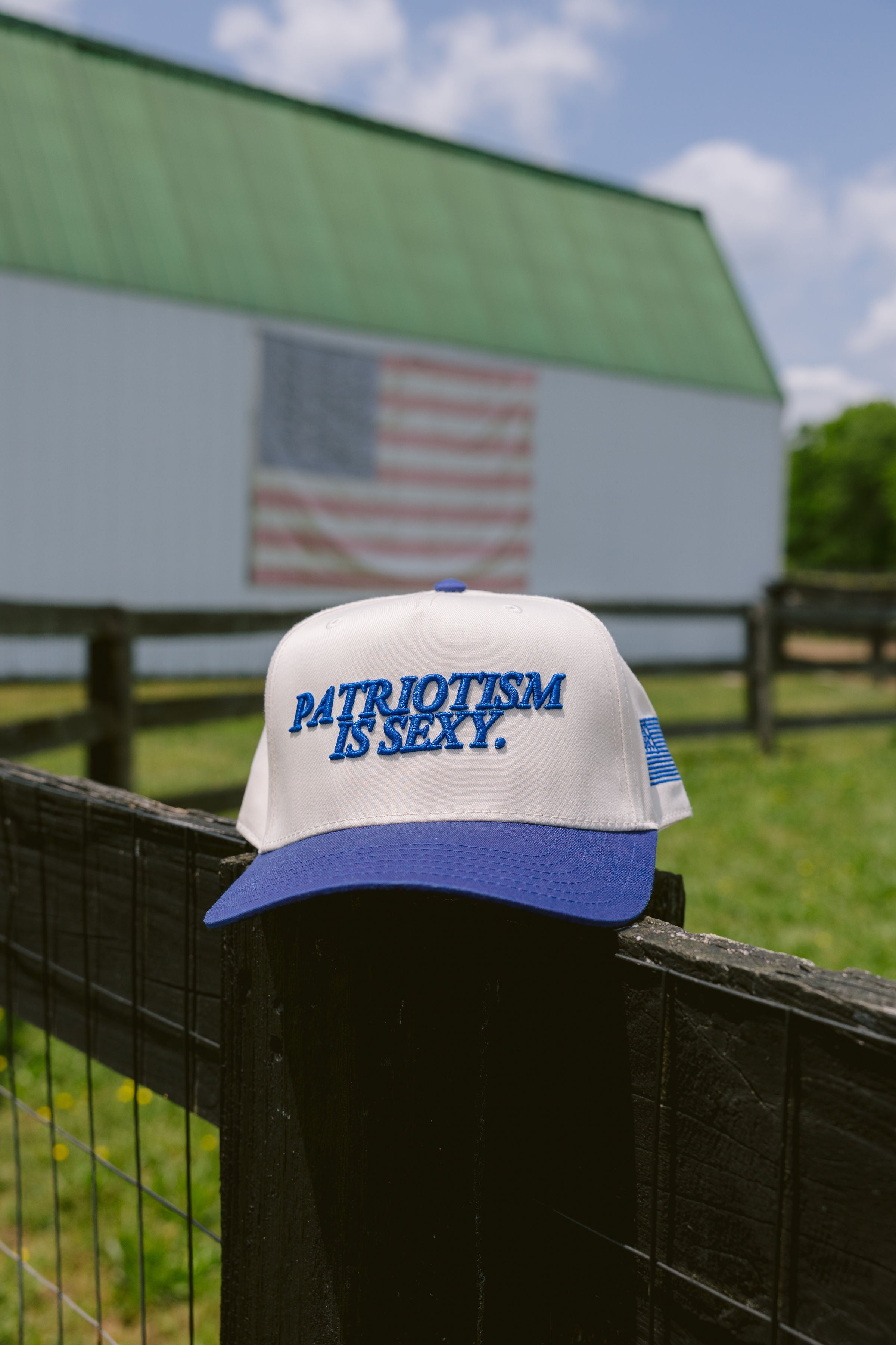 Hat Patriotism is Sexy. - Royal Blue Vintage Hat