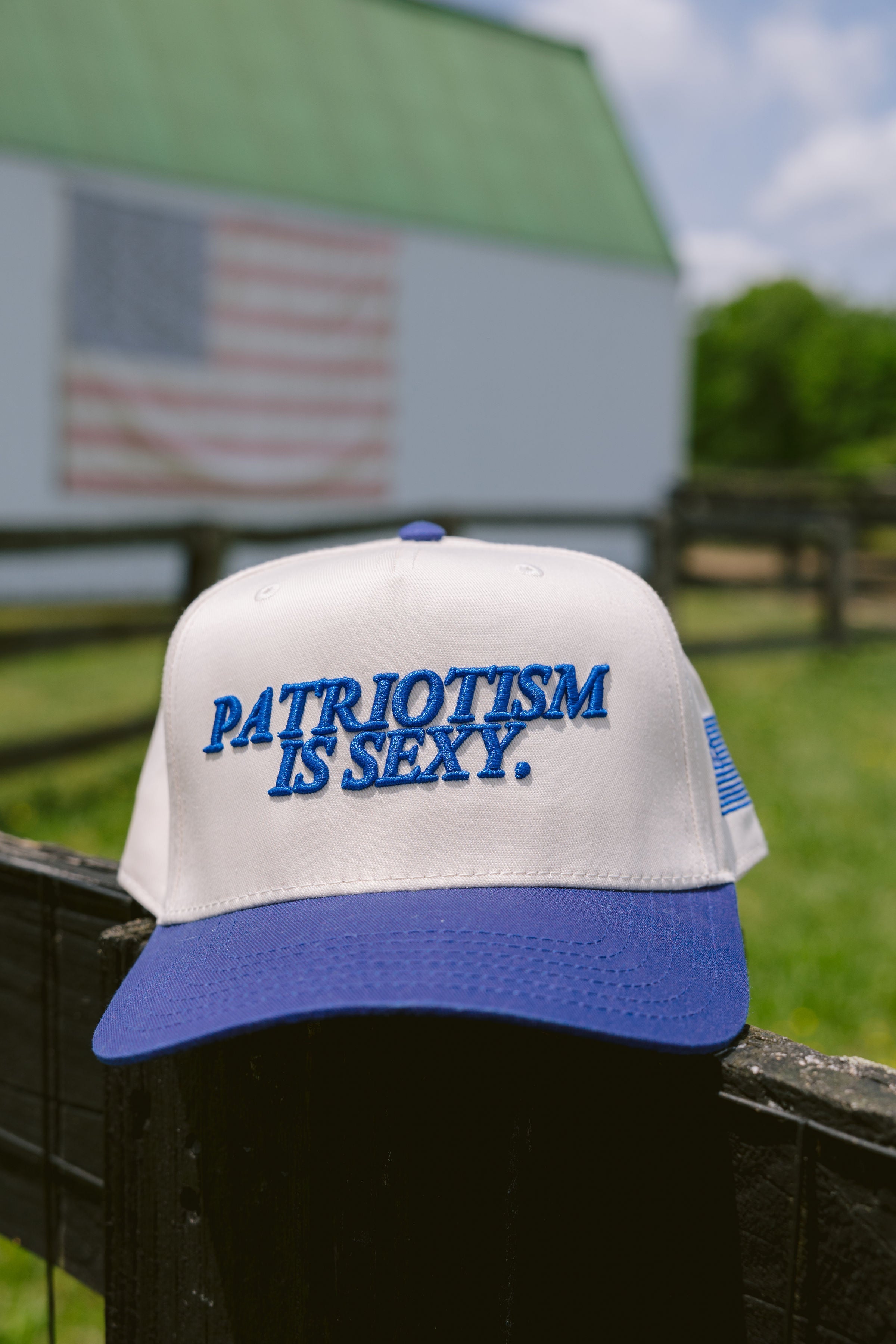 Hat Patriotism is Sexy. - Royal Blue Vintage Hat