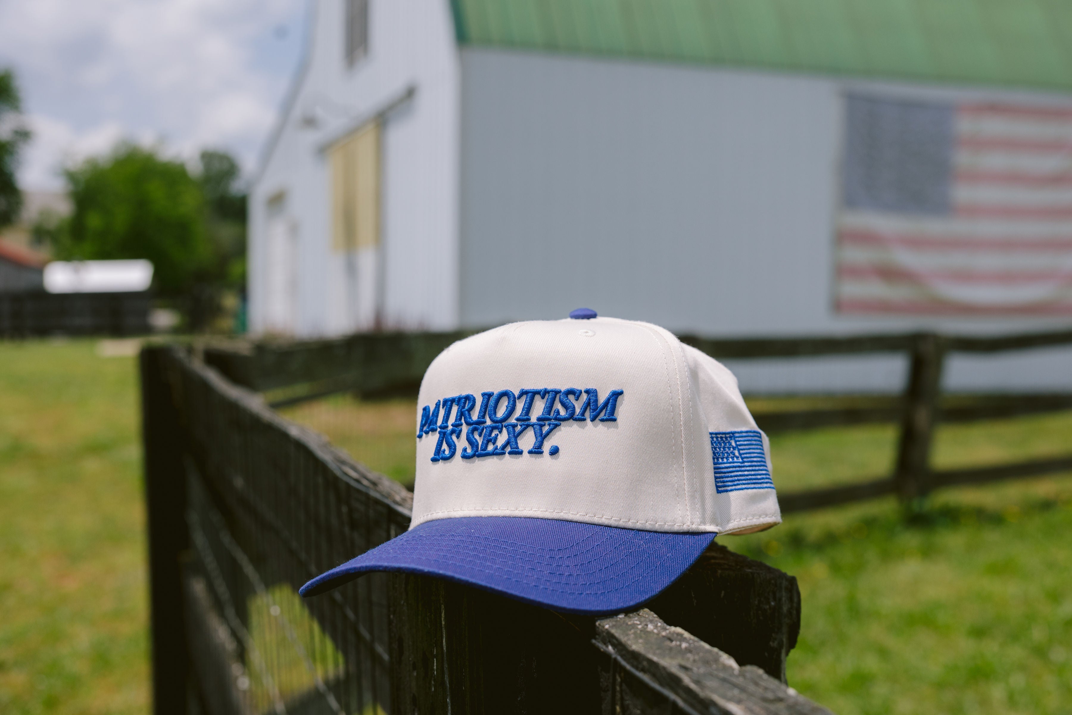 Hat Patriotism is Sexy. - Royal Blue Vintage Hat