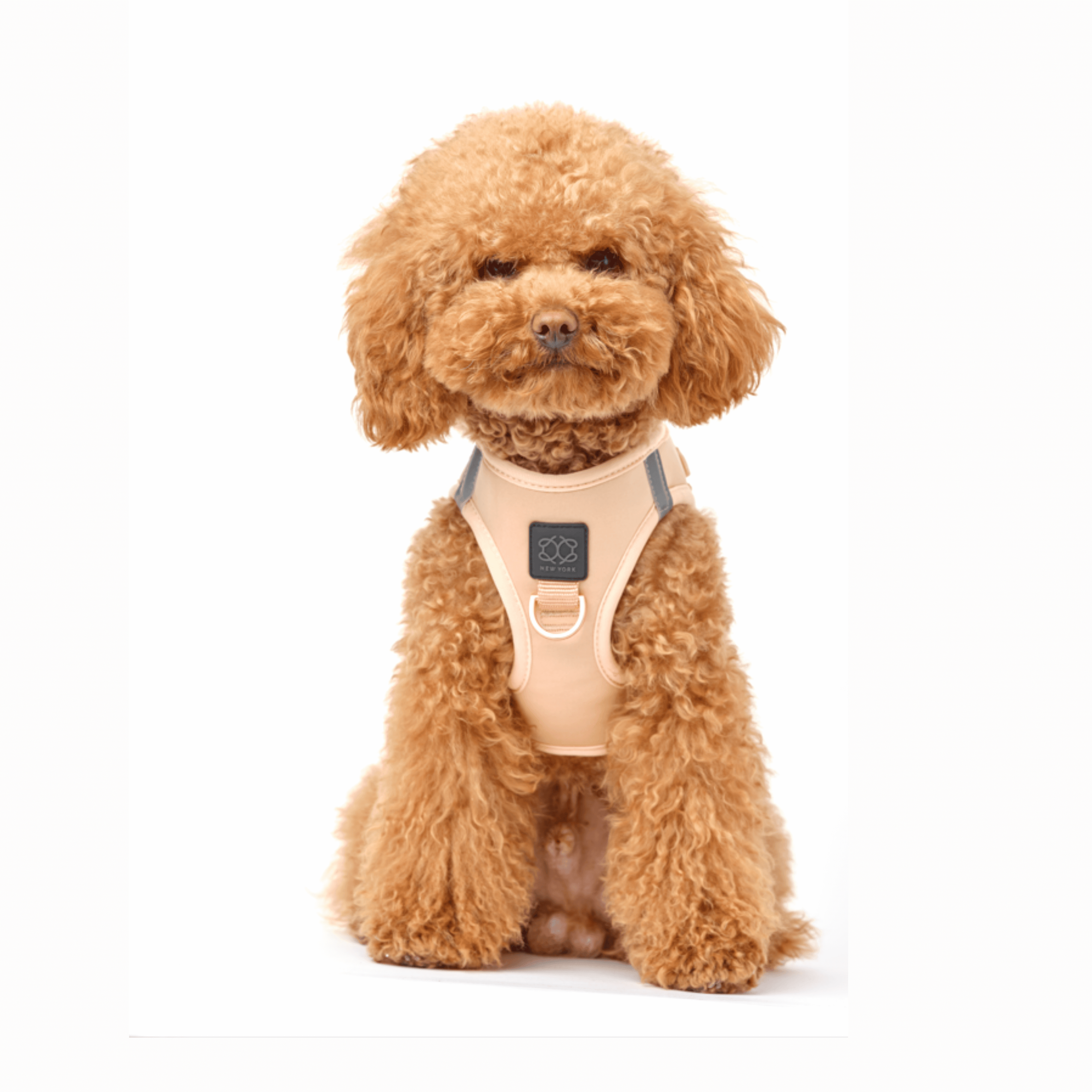 SoHo Dog Harness - Dune