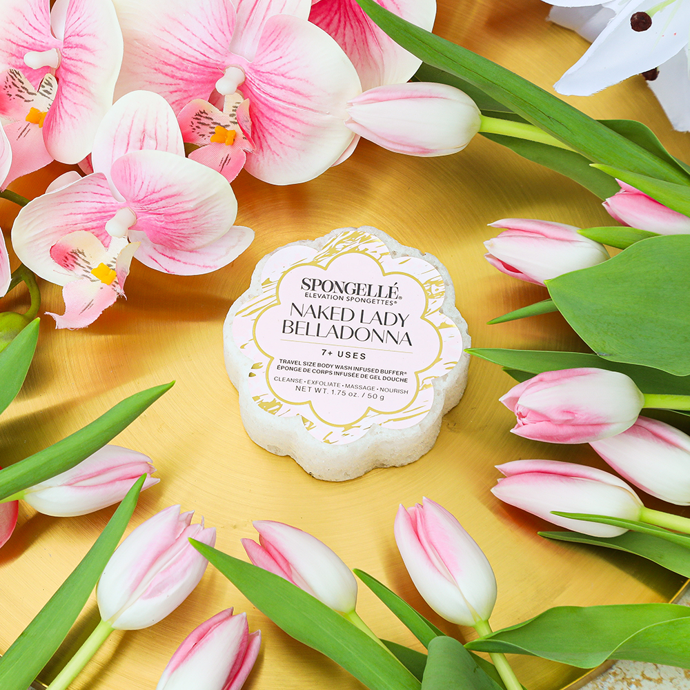 Body Wash Infused Buffer Naked Lady Belladonna | Elevation Spongette
