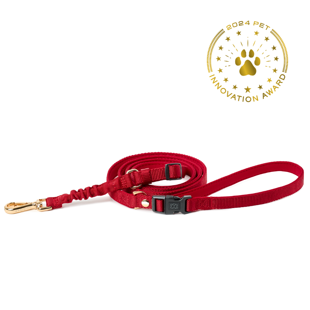 3-in-1 City Dog Leash - Iconic Red