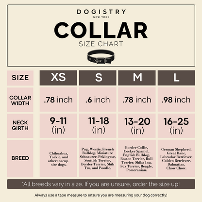 City Collar - Fifth Avenue