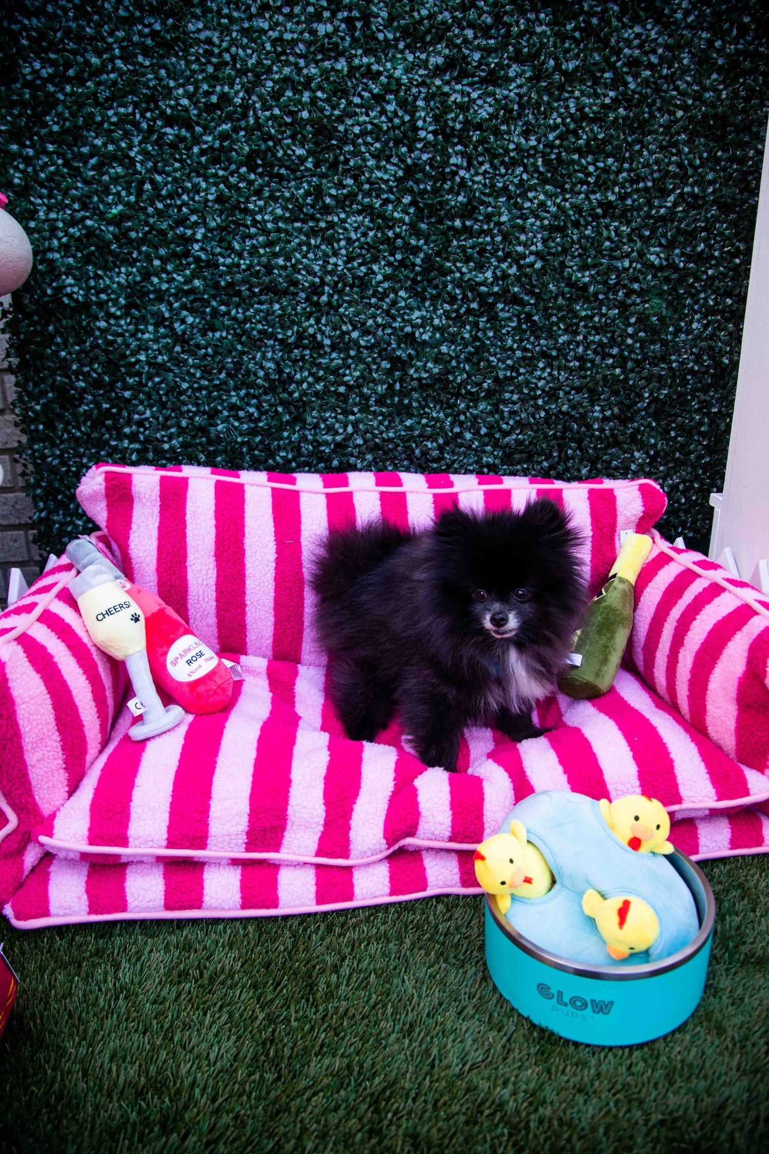 Pretty Pink Striped Dog Bed