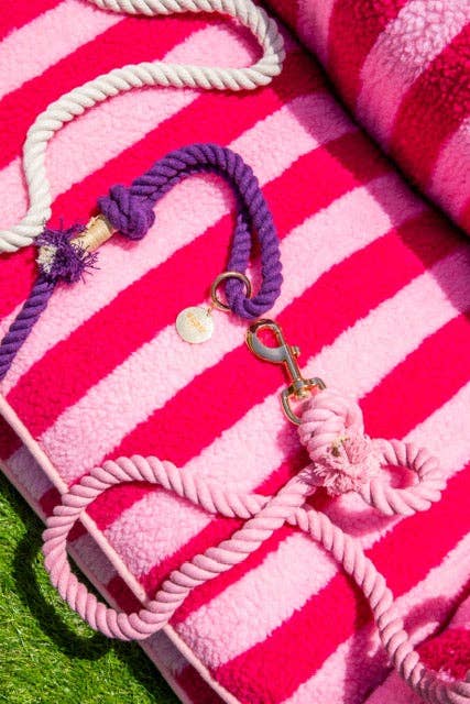 Pretty Pink Striped Dog Bed