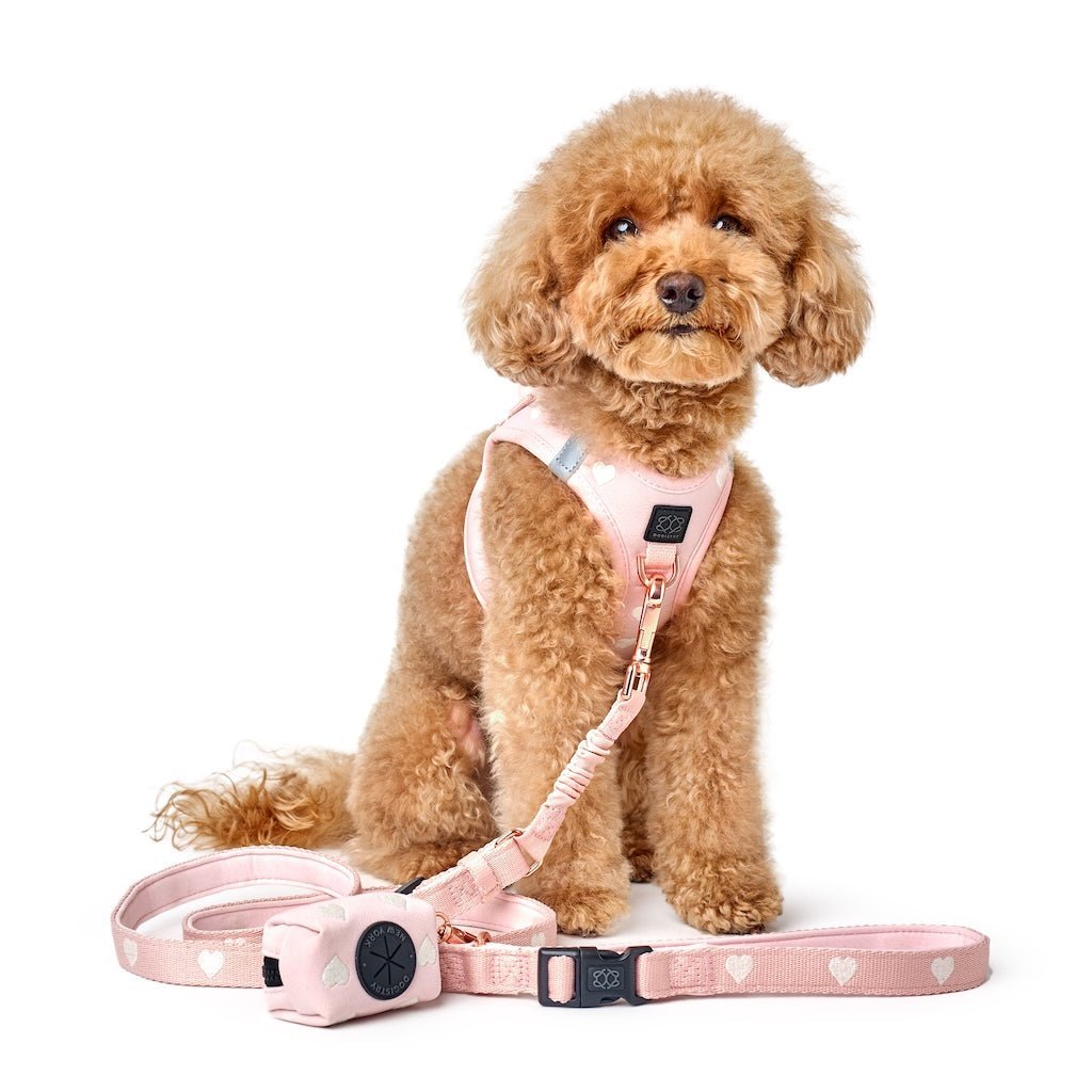 3-in-1 City Dog Leash - Sweetheart