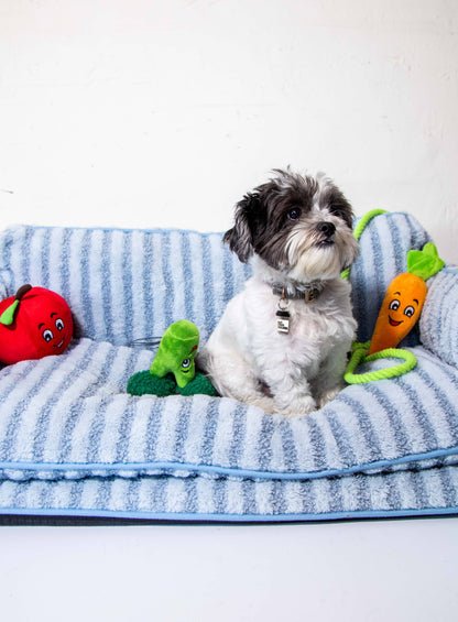 Luxury Light Blue Striped Sofa Dog Bed