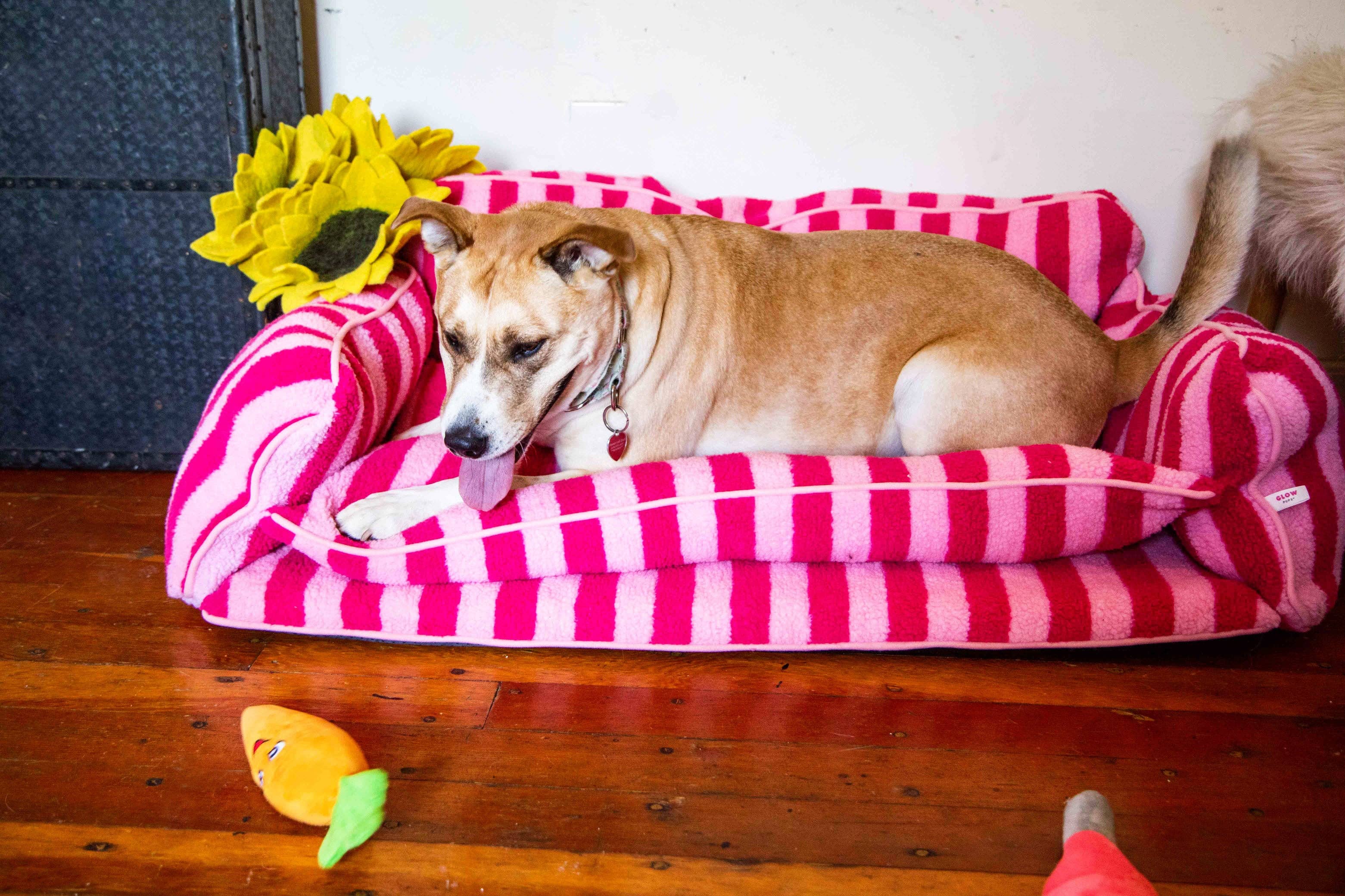 Pretty Pink Striped Dog Bed