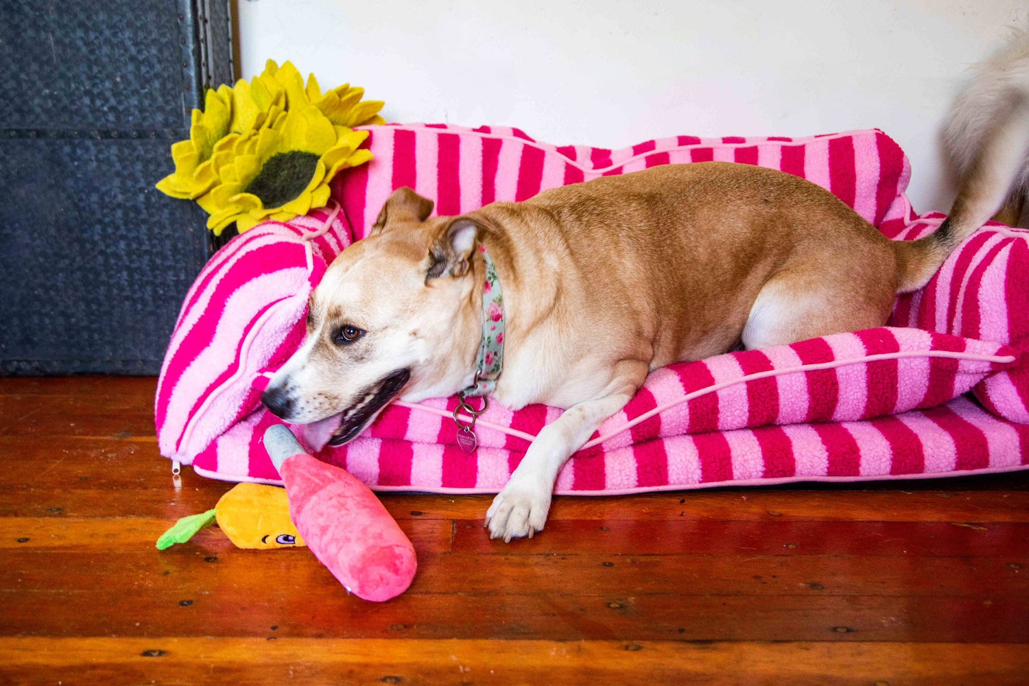 Pretty Pink Striped Dog Bed