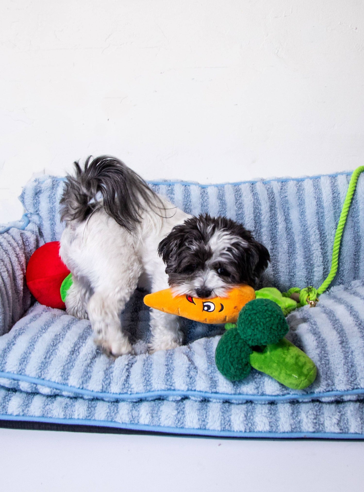 Luxury Light Blue Striped Sofa Dog Bed