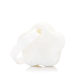 Fleur de Narcisse Spongette | Florica