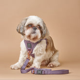 Leashes - Secure-In-Place 3-in-1 City Dog Leash - Lilac Gray