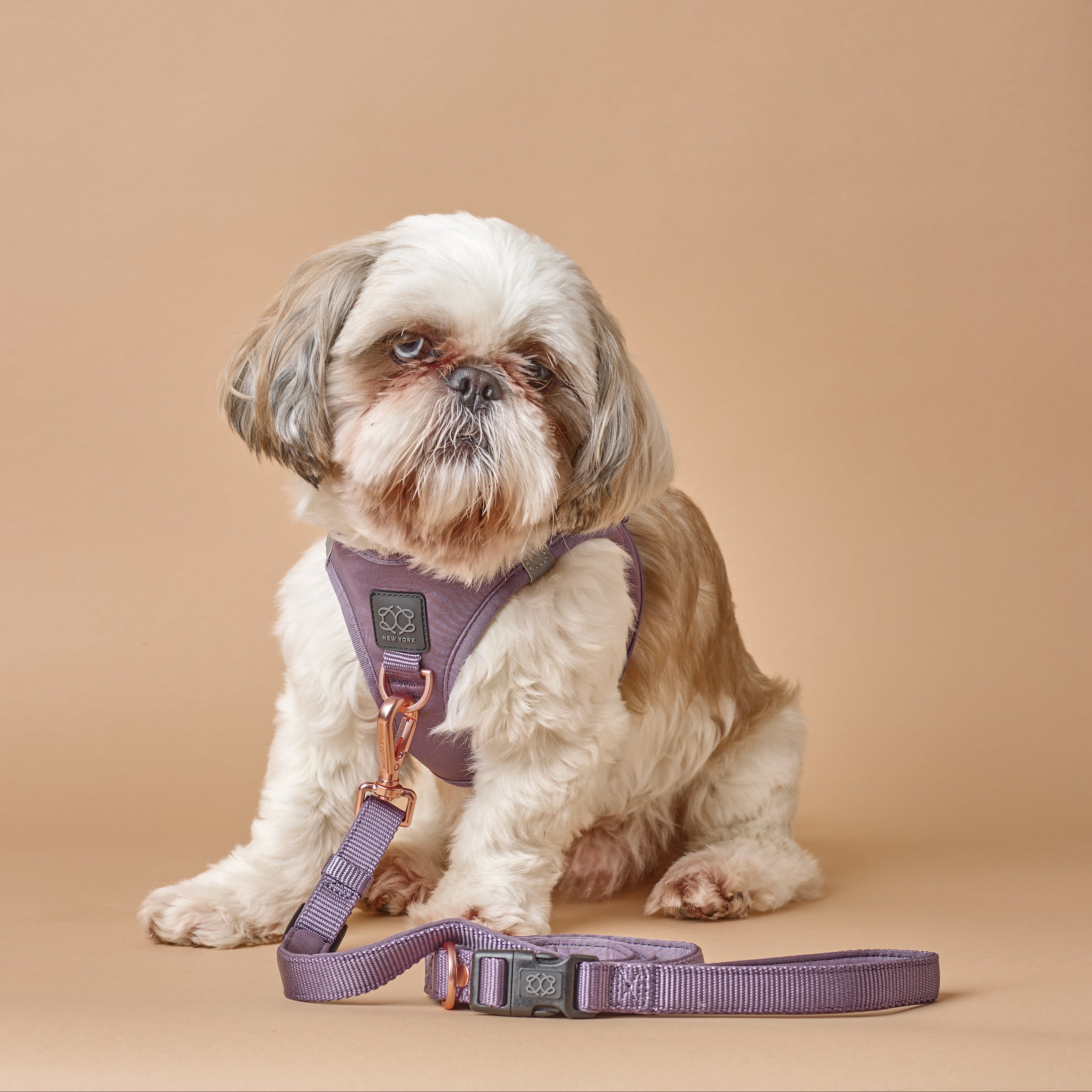 Harness - Step-In SoHo Dog Harness - Lilac Gray