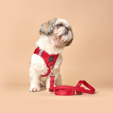 Harness - Step-In SoHo Dog Harness - Iconic Red