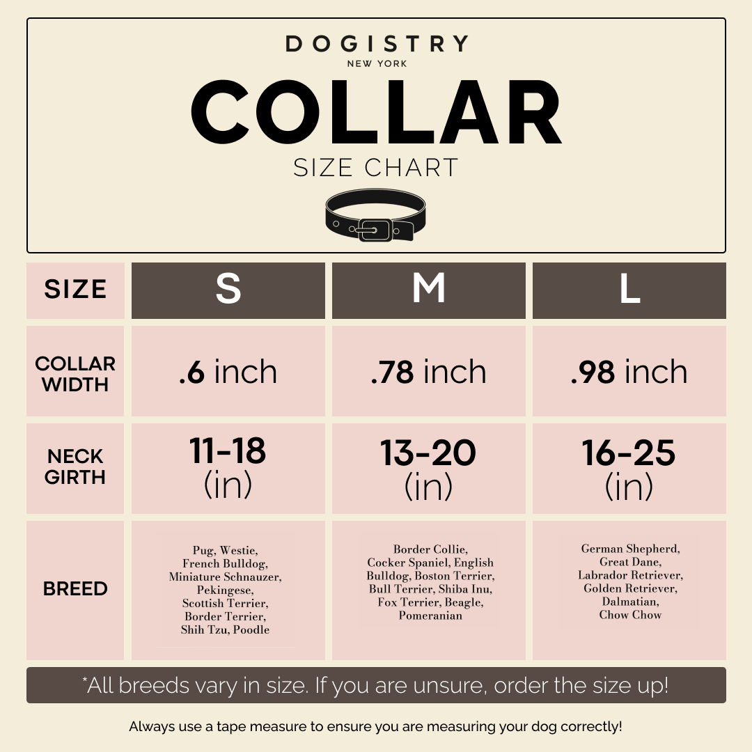 City Collar - Fifth Avenue