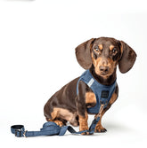 Leashes - Secure-In-Place 3-in-1 City Dog Leash - Denim