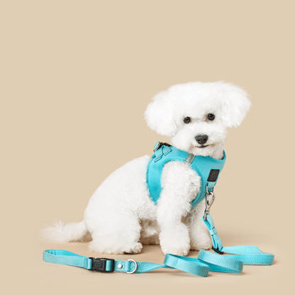 Leashes - Secure-In-Place 3-in-1 City Dog Leash - Fifth Avenue