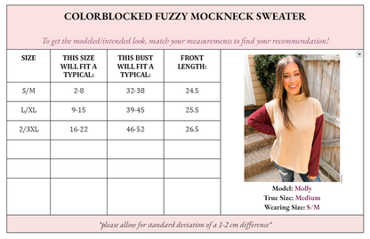 Collette Colorblock Fuzzy Mockneck Sweater