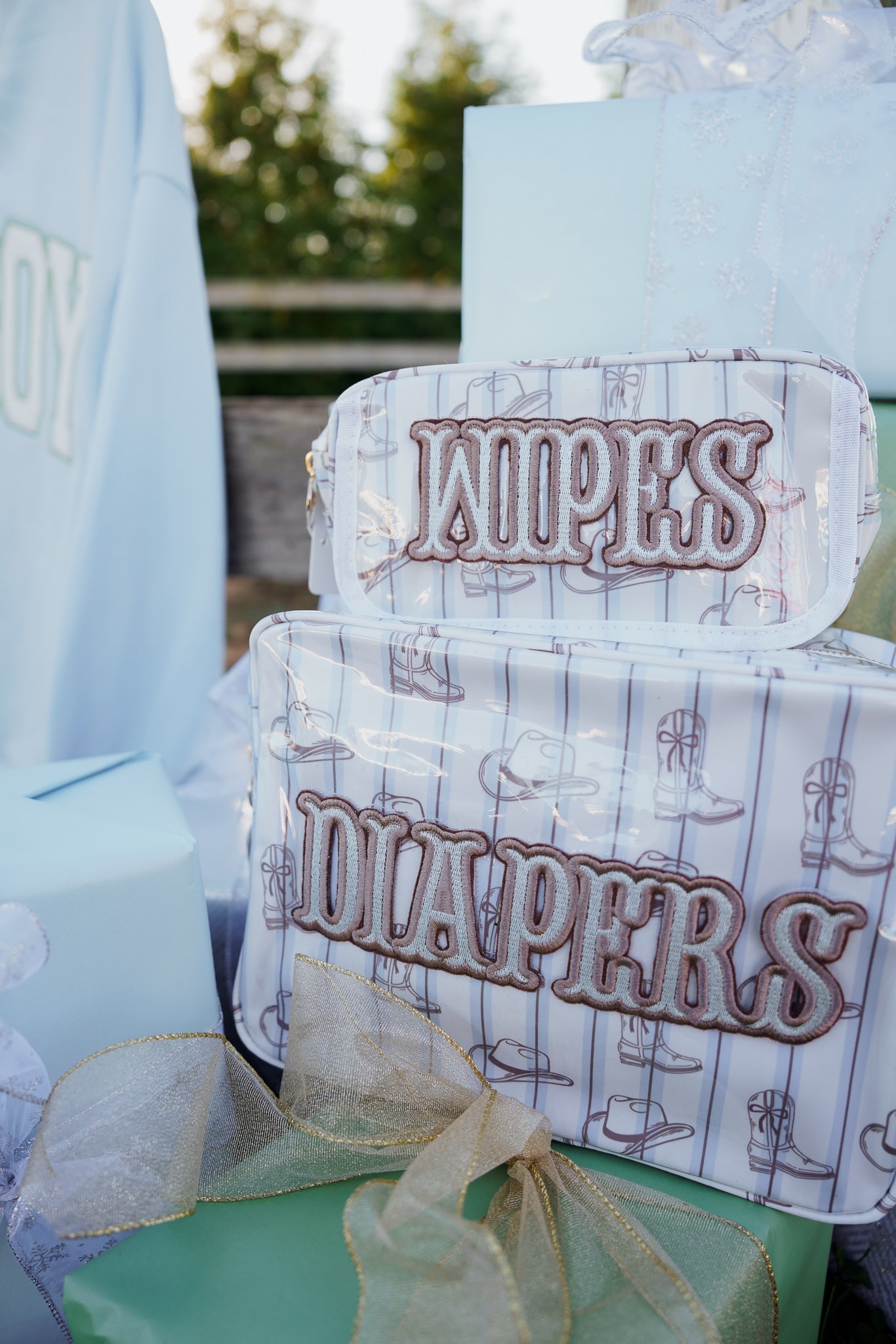 Travel Bag Wipes Pouch - Western Blues Clear Coat Bag