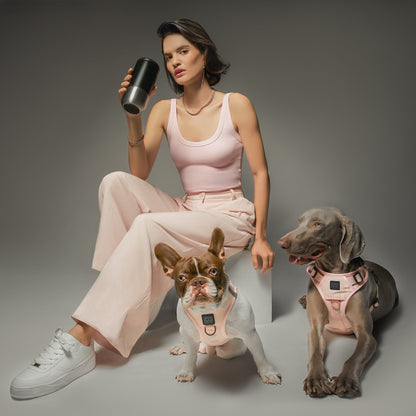 Harness - Step-In SoHo Dog Harness - Sweetheart