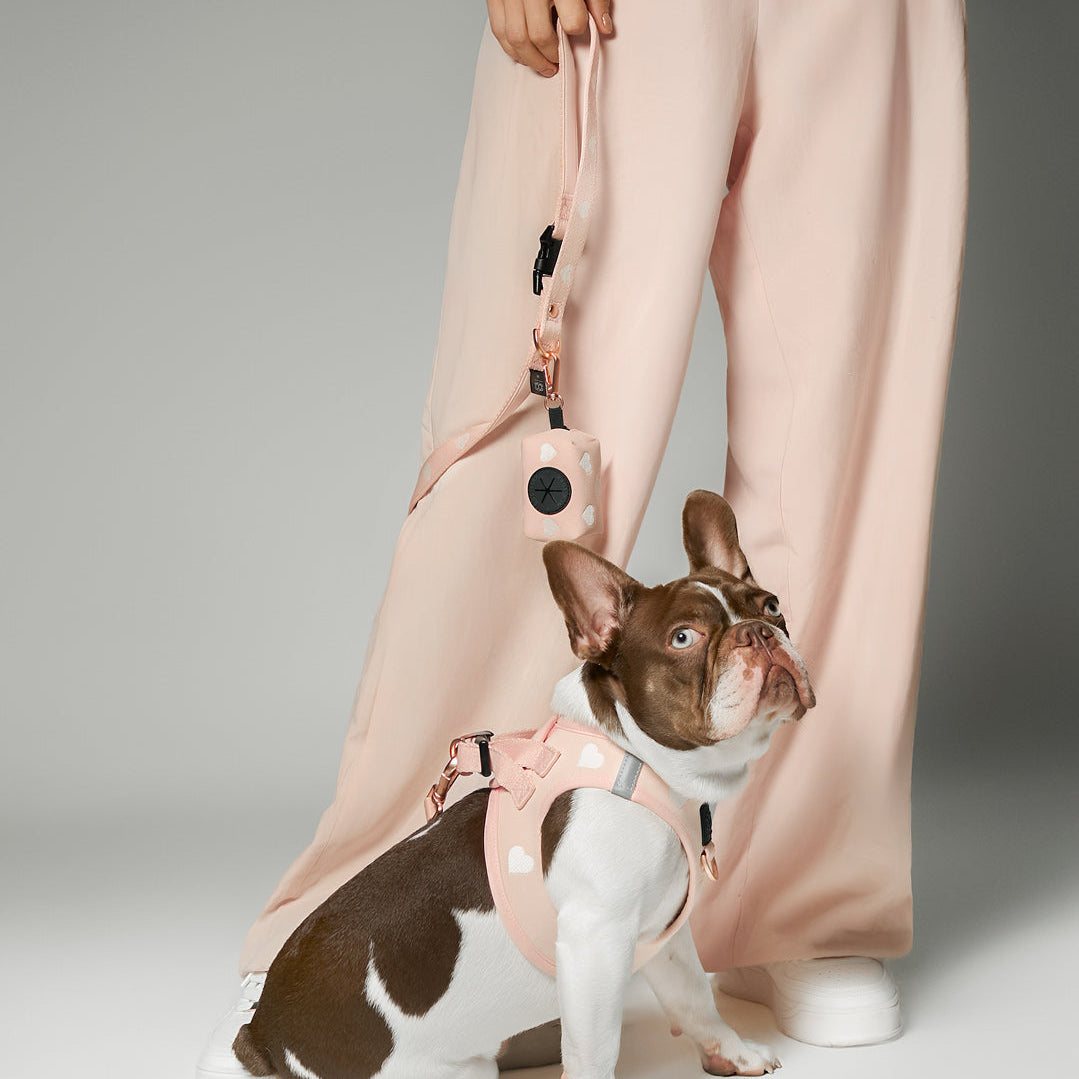 Harness - Step-In SoHo Dog Harness - Sweetheart