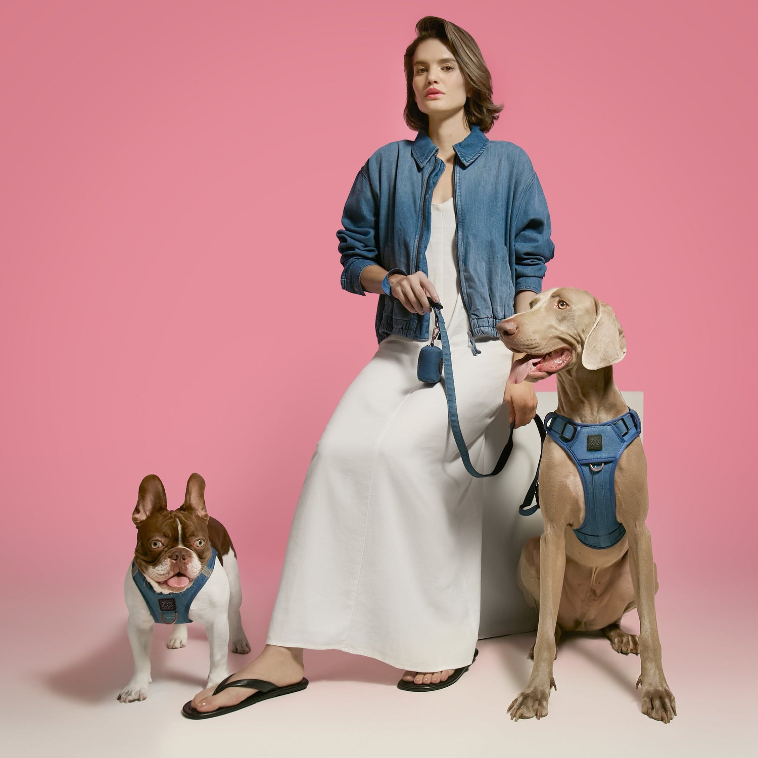 Harness - Adjustable SoHo Dog Harness - Denim