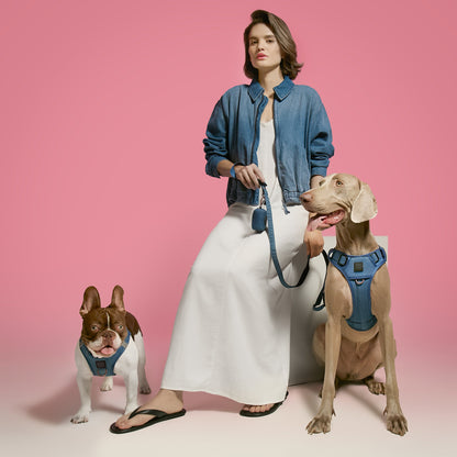 Harness - Adjustable SoHo Dog Harness - Denim