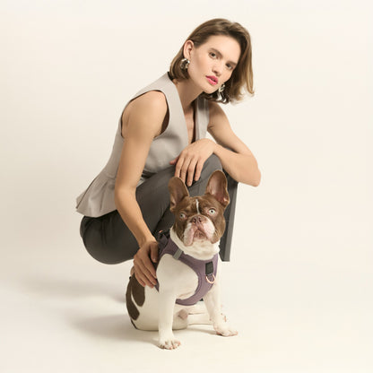 Harness - Step-In SoHo Dog Harness - Lilac Gray